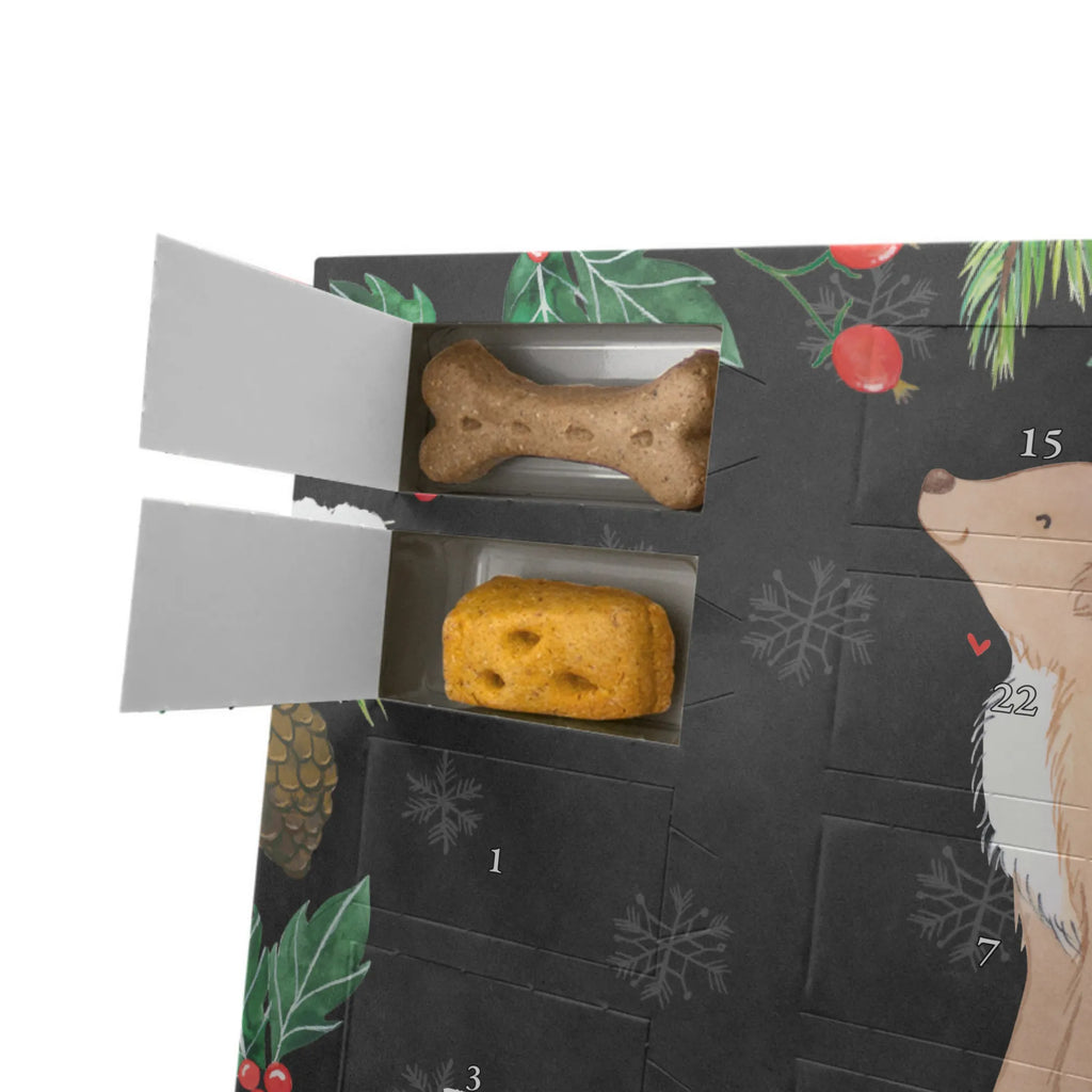  Kaczka z Nowej Szkocji Chwila Pies, rasa psa, pies rasowy, właściciel psa, prezent, miłośnik zwierząt, dawanie, szczeniak