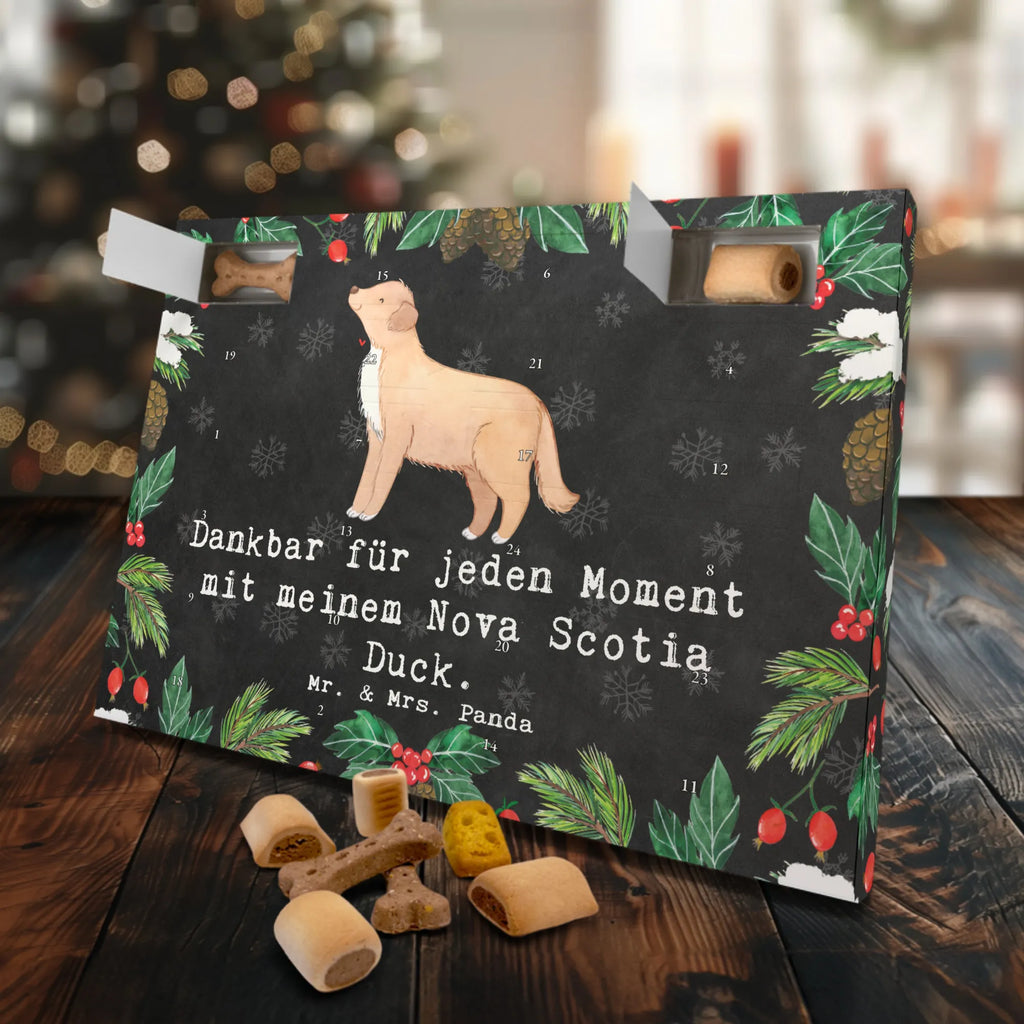  Kaczka z Nowej Szkocji Chwila Pies, rasa psa, pies rasowy, właściciel psa, prezent, miłośnik zwierząt, dawanie, szczeniak