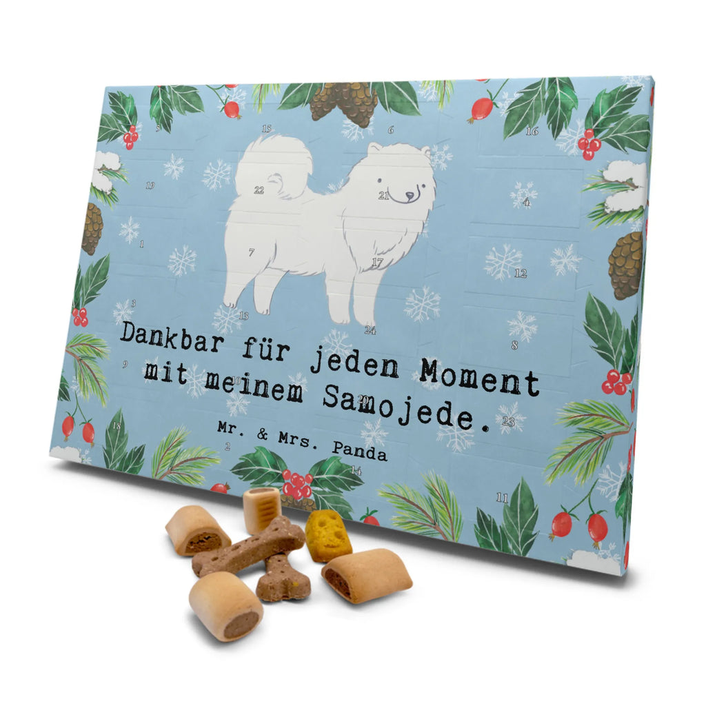 Hunde Adventskalender Samojede Moment Weihnachtskalender, Adventskalender für Hunde, Hunde Adventskalender, Kalender, Geschenk, Schenken, Hund, Hunderasse, Rassehund, Hundebesitzer, Tierfreund, Welpe, Samojedenhund, Samojede, Samojedenspitz