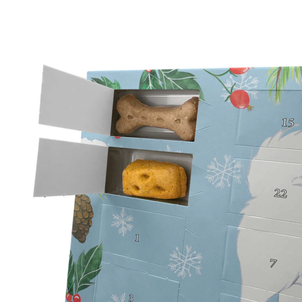 Hunde Adventskalender Samojede Moment Weihnachtskalender, Adventskalender für Hunde, Hunde Adventskalender, Kalender, Geschenk, Schenken, Hund, Hunderasse, Rassehund, Hundebesitzer, Tierfreund, Welpe, Samojedenhund, Samojede, Samojedenspitz