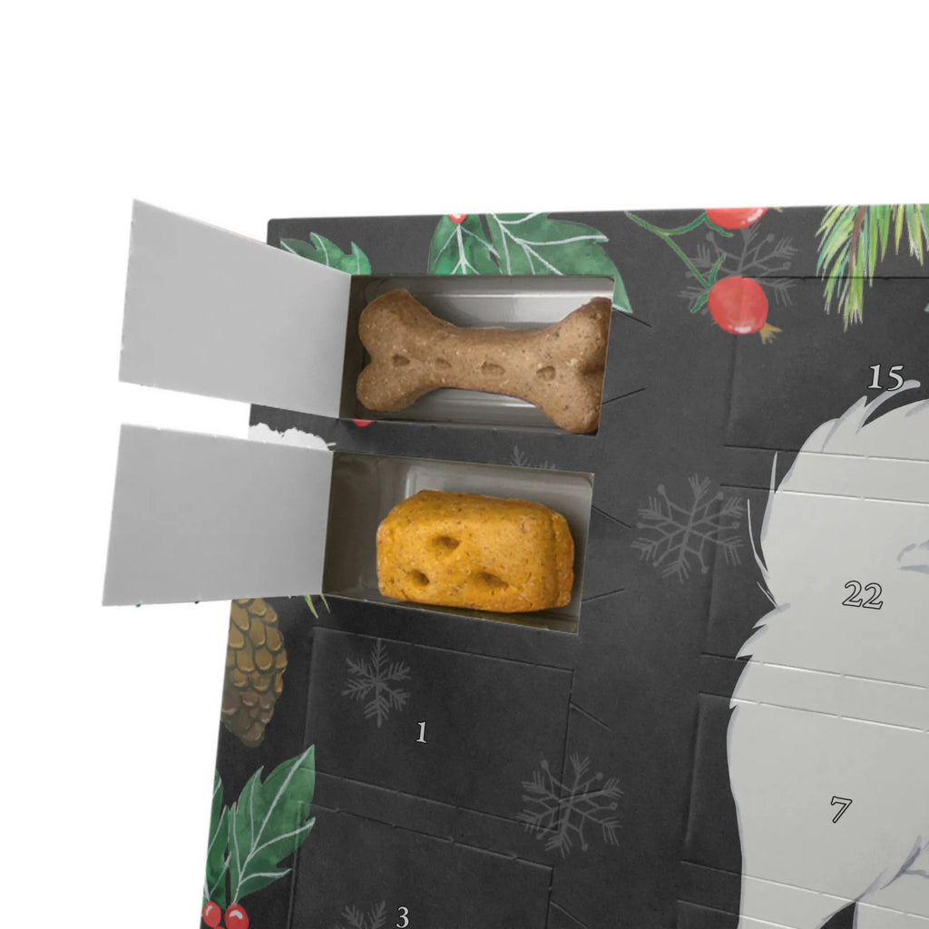 Hunde Adventskalender Samojede Moment Weihnachtskalender, Adventskalender für Hunde, Hunde Adventskalender, Kalender, Geschenk, Schenken, Hund, Hunderasse, Rassehund, Hundebesitzer, Tierfreund, Welpe, Samojedenhund, Samojede, Samojedenspitz