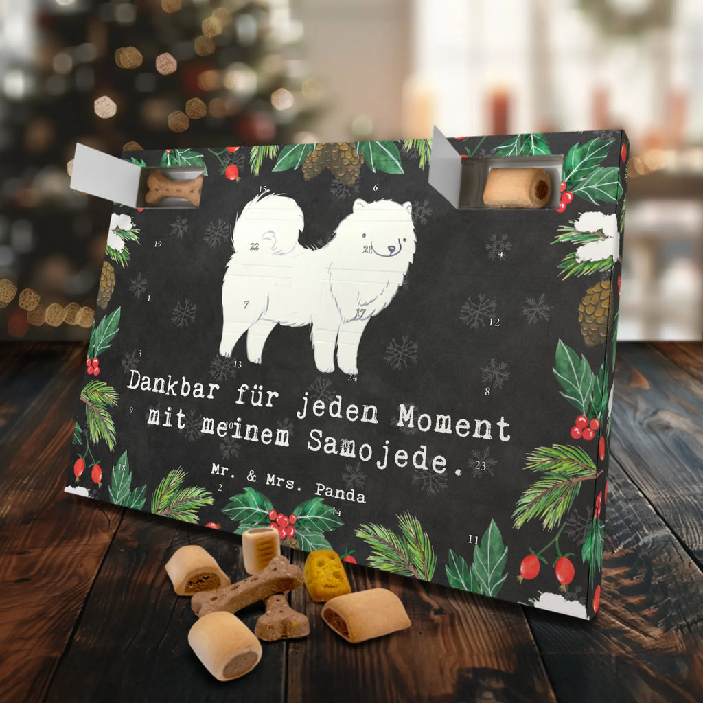 Hunde Adventskalender Samojede Moment Weihnachtskalender, Adventskalender für Hunde, Hunde Adventskalender, Kalender, Geschenk, Schenken, Hund, Hunderasse, Rassehund, Hundebesitzer, Tierfreund, Welpe, Samojedenhund, Samojede, Samojedenspitz