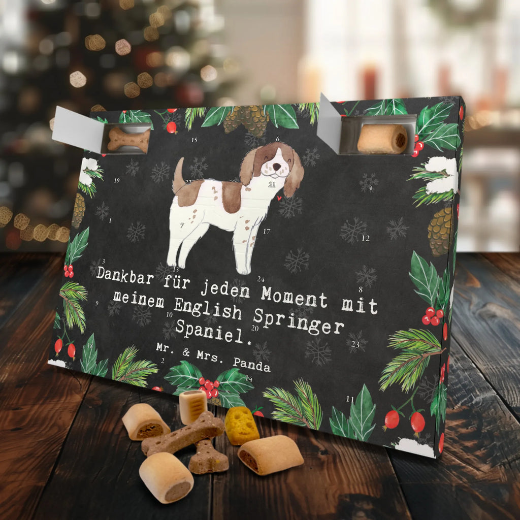 Dog advent calendar English Springer Spaniel Moment Christmas, Calendar, Dogs Advent Calendar, 2019, Pets, Christmas Calendar, Dog, dog breed, purebred dog, dog owner, gift, animal lover, giving, puppy