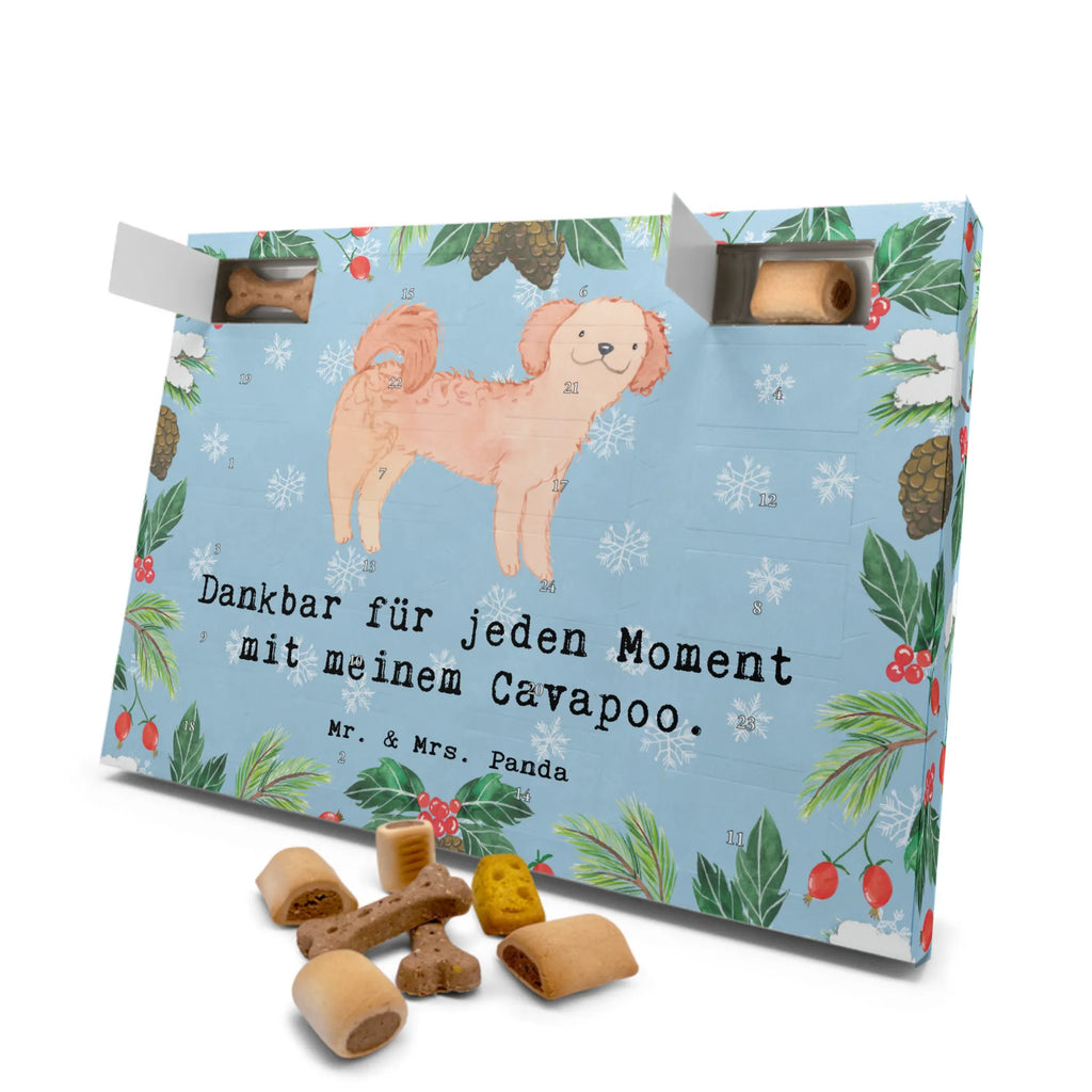 Dog advent calendar Cavapoo Moment Christmas, Dogs Advent Calendar, Calendar, Christmas Calendar, 2019, Pets, Dog, dog breed, purebred dog, dog owner, gift, animal lover, giving, puppy