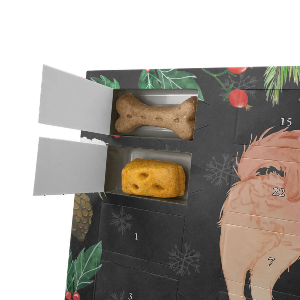 Dog advent calendar Cavapoo Moment Christmas, Dogs Advent Calendar, Calendar, Christmas Calendar, 2019, Pets, Dog, dog breed, purebred dog, dog owner, gift, animal lover, giving, puppy