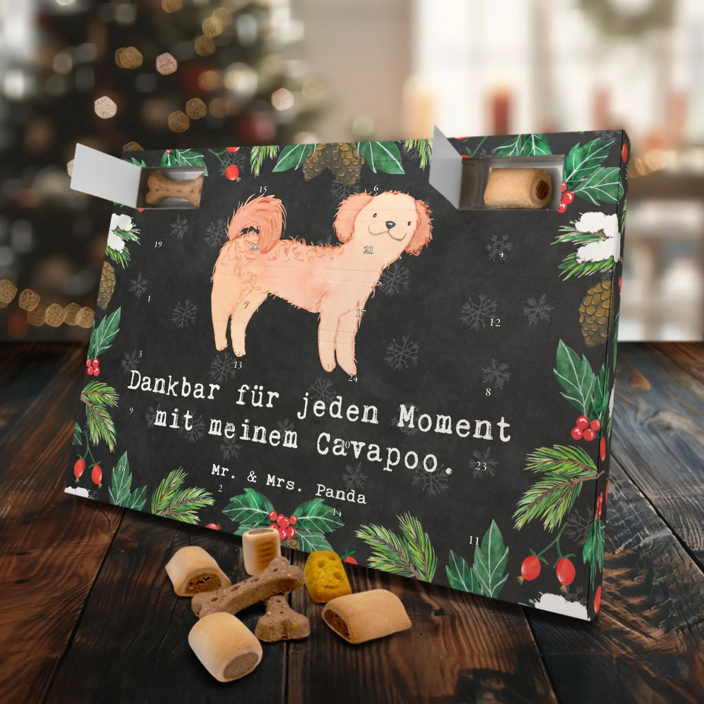 Dog advent calendar Cavapoo Moment Christmas, Dogs Advent Calendar, Calendar, Christmas Calendar, 2019, Pets, Dog, dog breed, purebred dog, dog owner, gift, animal lover, giving, puppy
