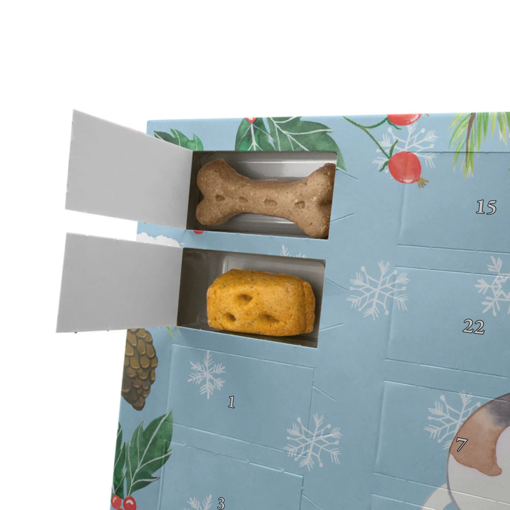 Dog advent calendar Foxhound moment Adventskalender für Hunde, Kalender, Hunde Adventskalender, Weihnachtskalender, Geschenk, Schenken, Hund, Hunderasse, Rassehund, Hundebesitzer, Tierfreund, Welpe, Foxhound, Jagdhund, Laufhund