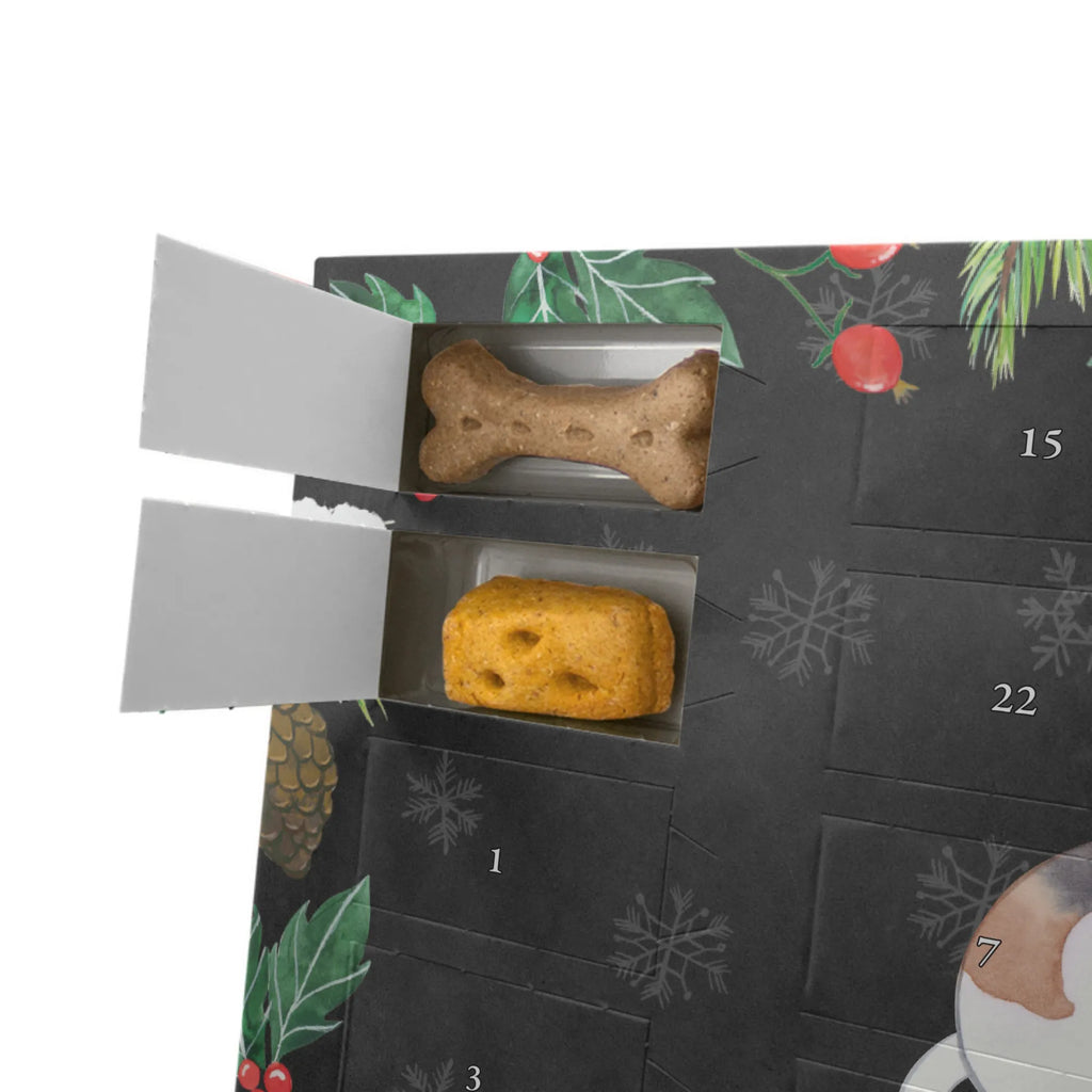 Dog advent calendar Foxhound moment Adventskalender für Hunde, Kalender, Hunde Adventskalender, Weihnachtskalender, Geschenk, Schenken, Hund, Hunderasse, Rassehund, Hundebesitzer, Tierfreund, Welpe, Foxhound, Jagdhund, Laufhund