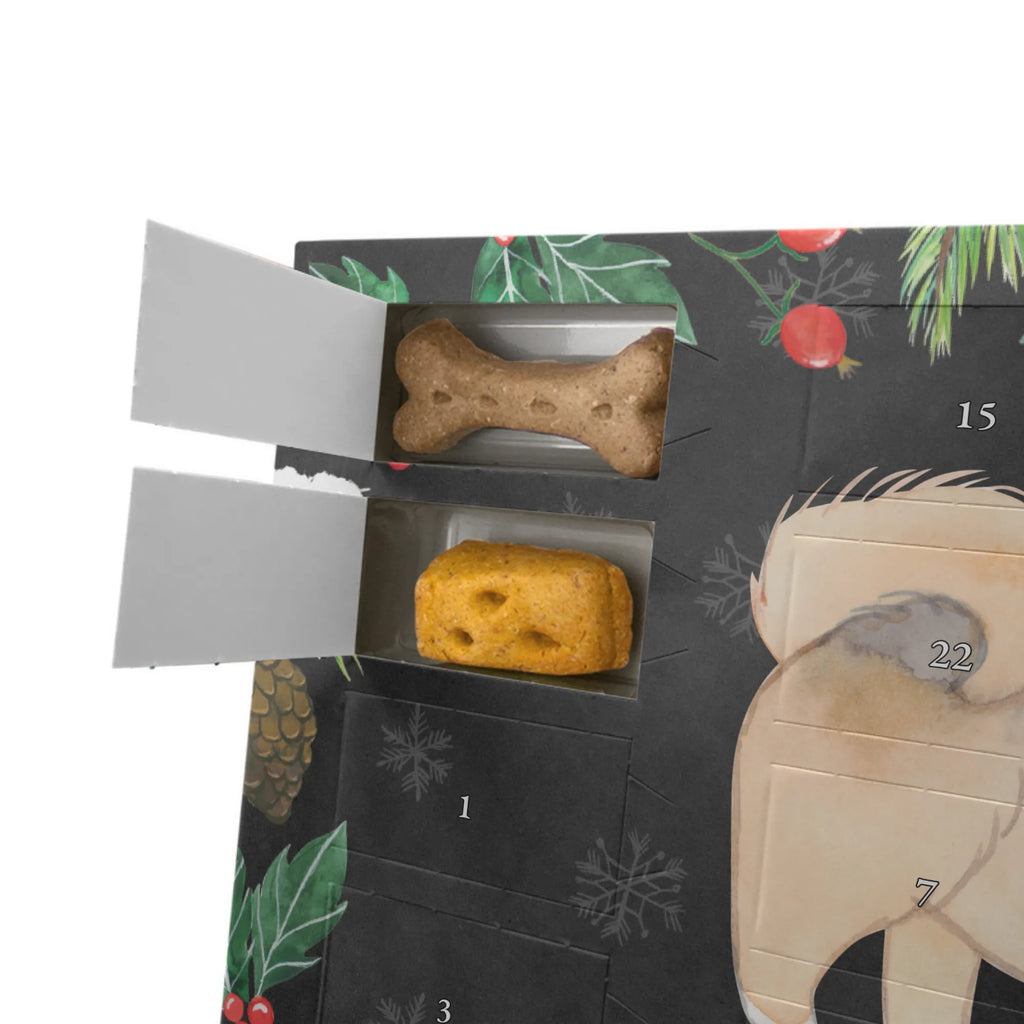 Dog advent calendar Pekingese moment Dogs Advent Calendar, Calendar, Pets, Christmas, Christmas Calendar, 2019, Dog, dog breed, purebred dog, dog owner, gift, animal lover, giving, puppy