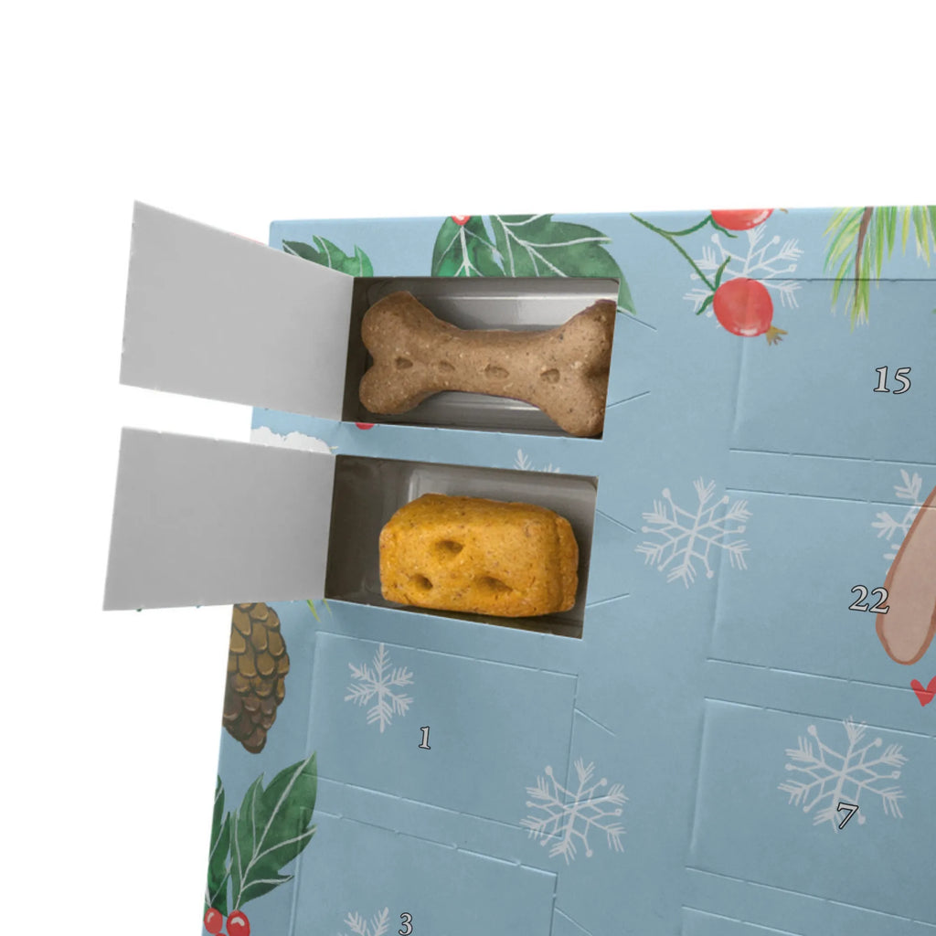 Dog advent calendar Bloodhound moment Calendar, Pets, 2019, Christmas, Christmas Calendar, Dogs Advent Calendar, Dog, dog breed, purebred dog, dog owner, gift, animal lover, giving, puppy
