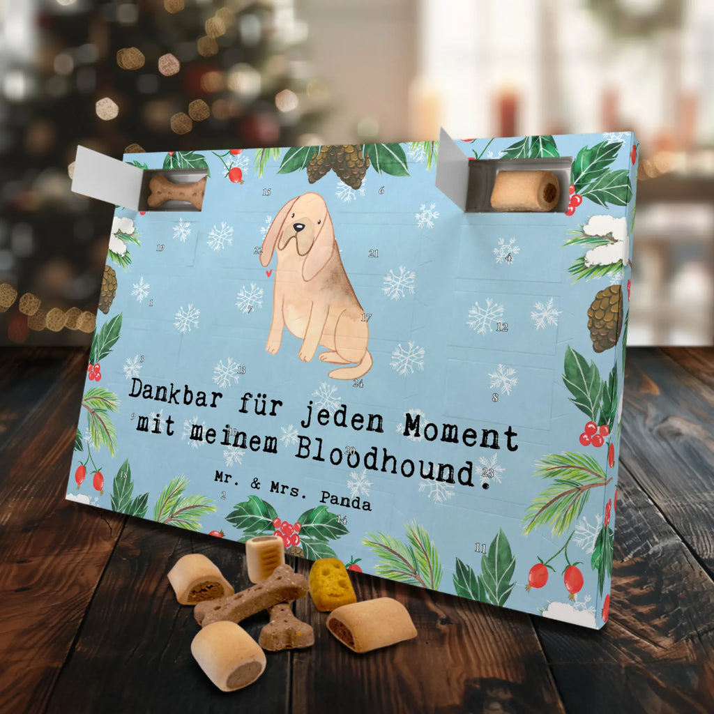 Dog advent calendar Bloodhound moment Calendar, Pets, 2019, Christmas, Christmas Calendar, Dogs Advent Calendar, Dog, dog breed, purebred dog, dog owner, gift, animal lover, giving, puppy