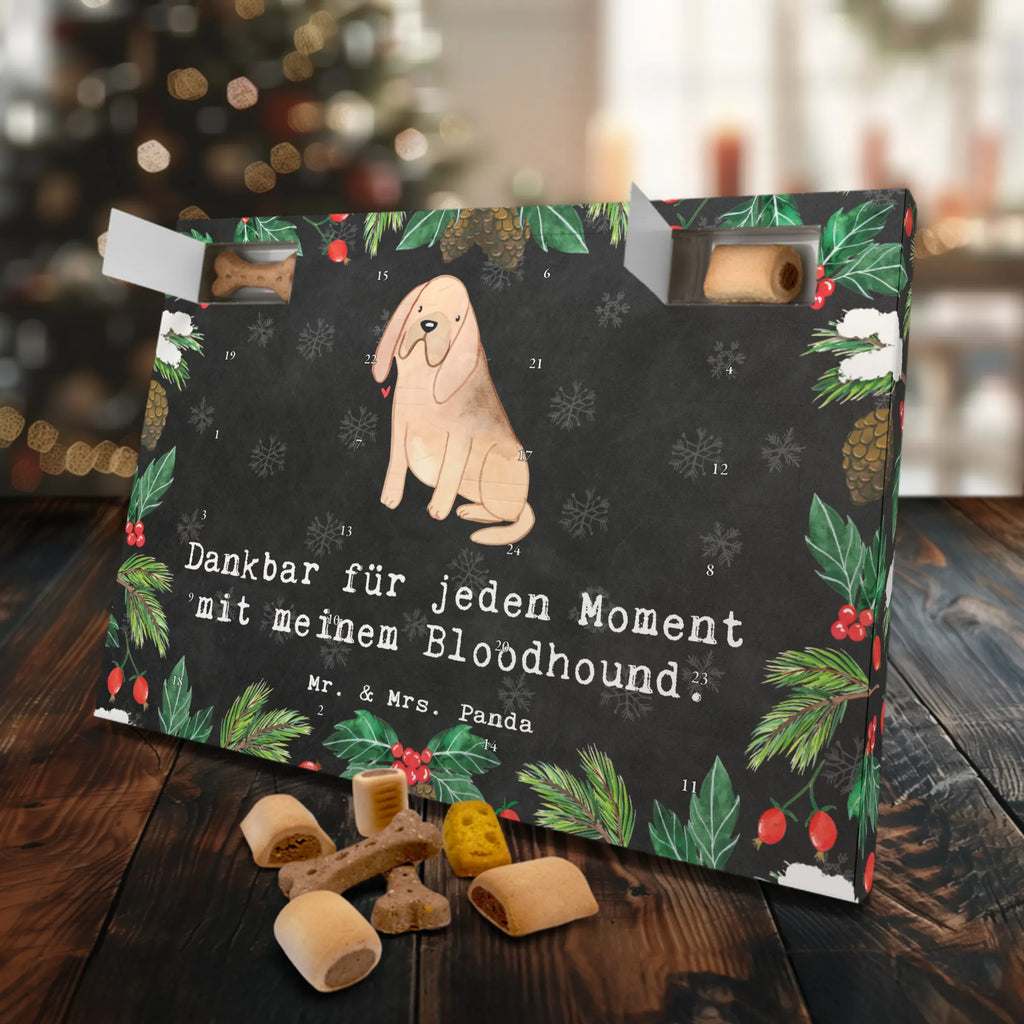 Dog advent calendar Bloodhound moment Calendar, Pets, 2019, Christmas, Christmas Calendar, Dogs Advent Calendar, Dog, dog breed, purebred dog, dog owner, gift, animal lover, giving, puppy