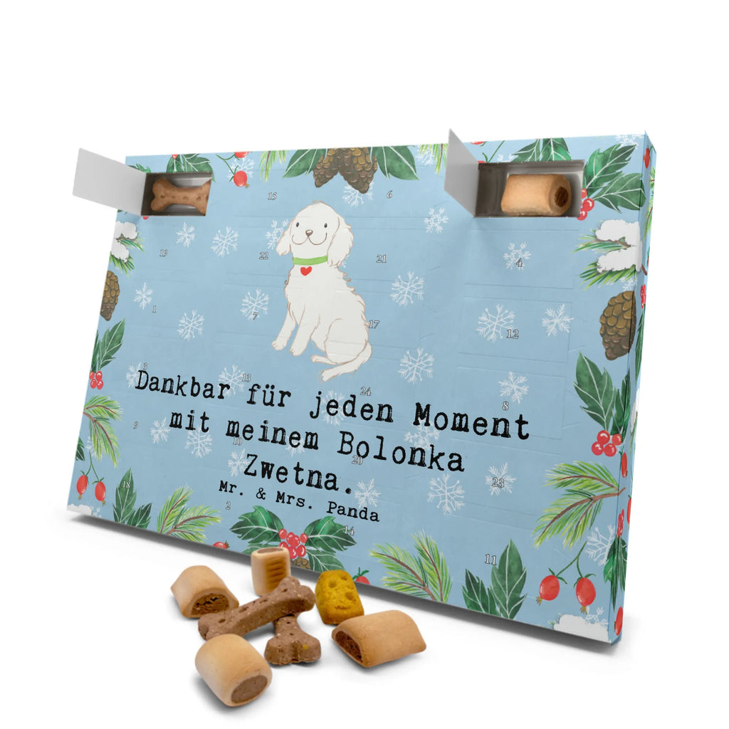 Dog advent calendar Bolonka Zwetna Moment Christmas, 2019, Dogs Advent Calendar, Pets, Calendar, Christmas Calendar, Dog, dog breed, purebred dog, dog owner, gift, animal lover, giving, puppy