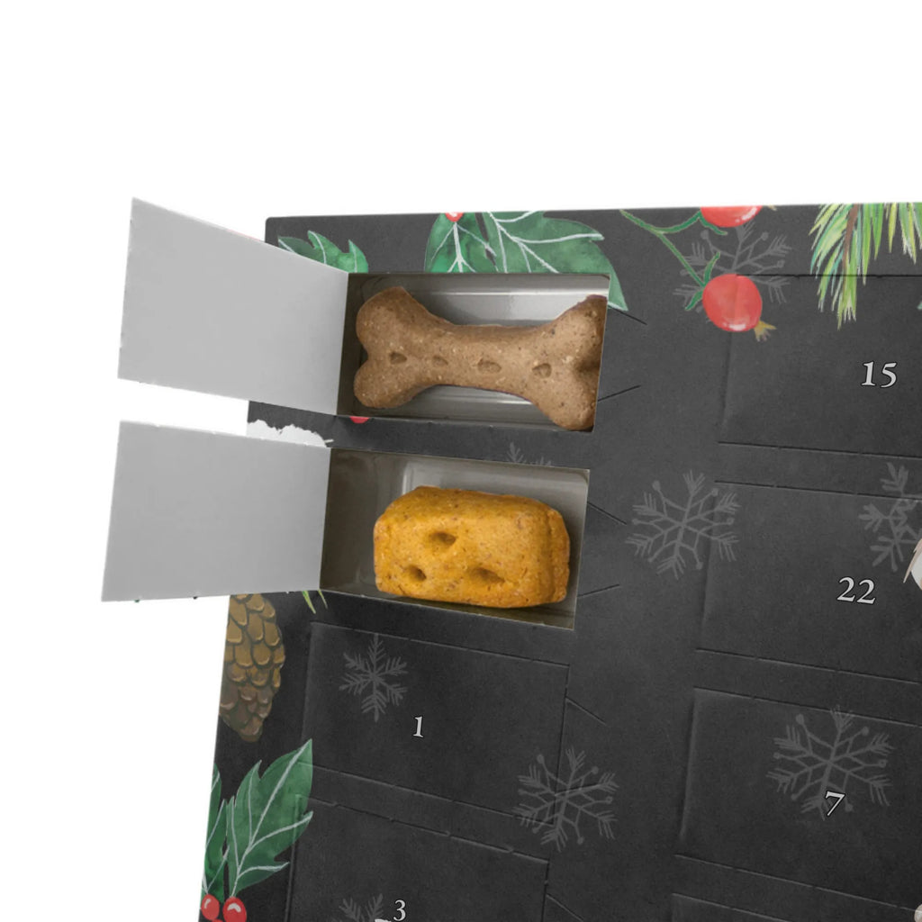 Dog advent calendar Bolonka Zwetna Moment Christmas, 2019, Dogs Advent Calendar, Pets, Calendar, Christmas Calendar, Dog, dog breed, purebred dog, dog owner, gift, animal lover, giving, puppy