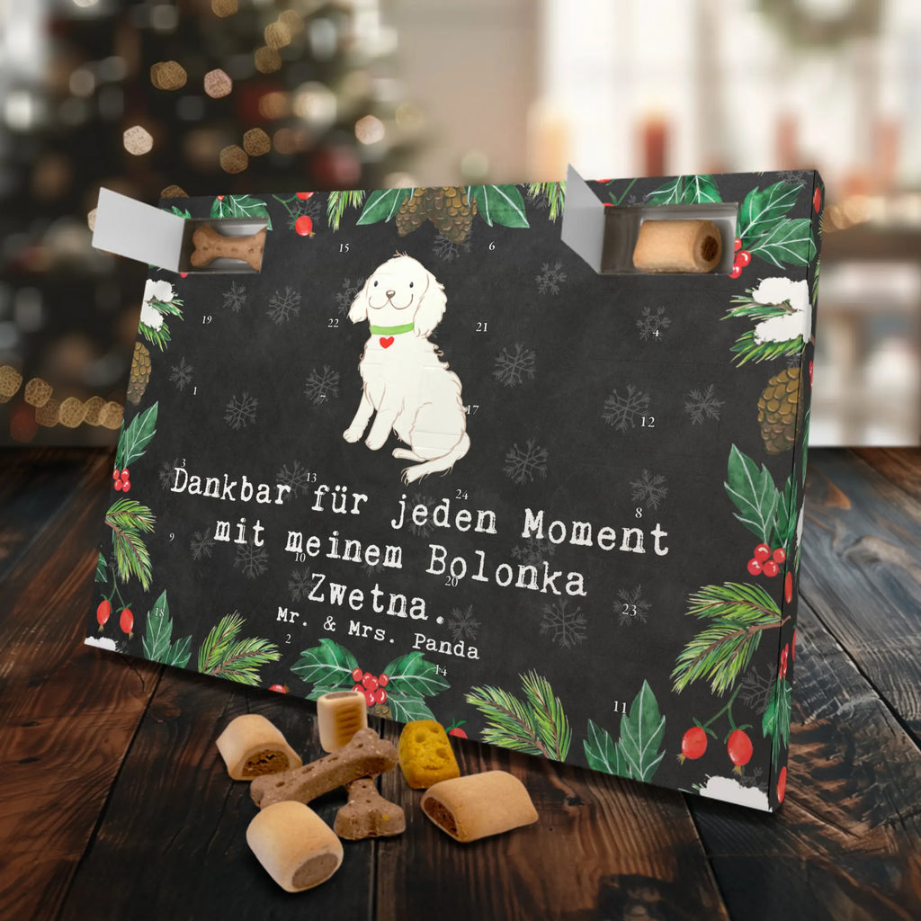 Dog advent calendar Bolonka Zwetna Moment Christmas, 2019, Dogs Advent Calendar, Pets, Calendar, Christmas Calendar, Dog, dog breed, purebred dog, dog owner, gift, animal lover, giving, puppy
