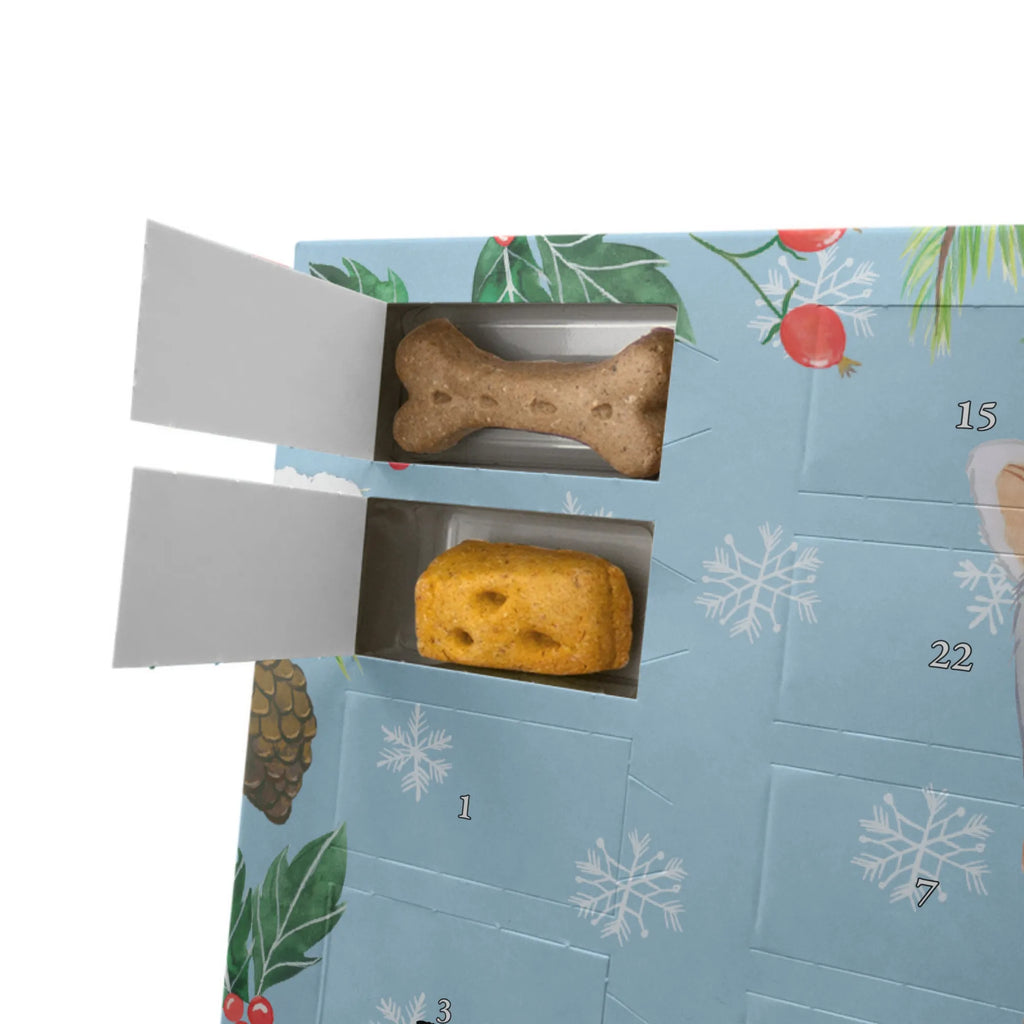 Dog advent calendar Prague Rattler moment Pets, Calendar, Christmas Calendar, Dogs Advent Calendar, Christmas, 2019, Dog, dog breed, purebred dog, dog owner, gift, animal lover, giving, puppy