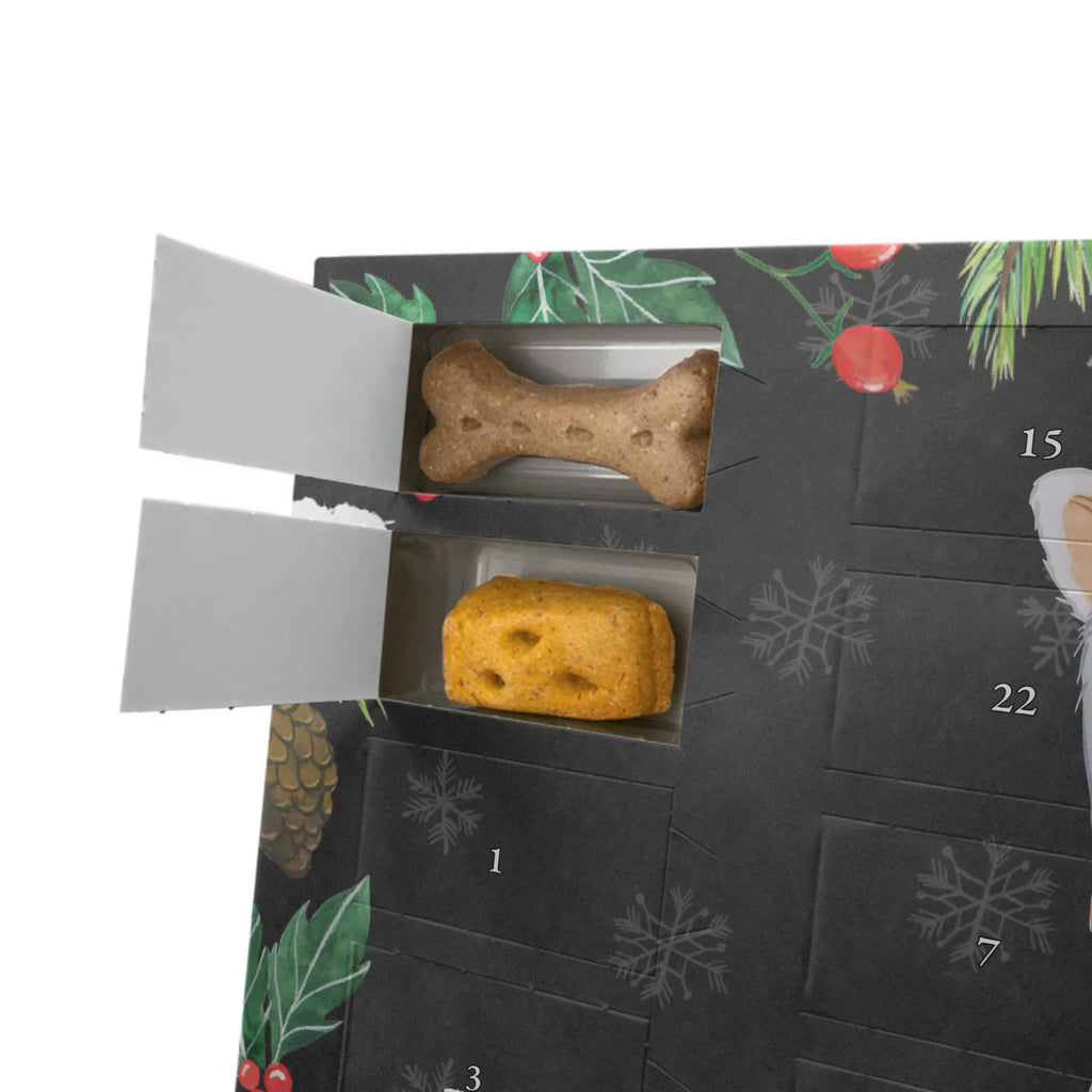 Dog advent calendar Prague Rattler moment Pets, Calendar, Christmas Calendar, Dogs Advent Calendar, Christmas, 2019, Dog, dog breed, purebred dog, dog owner, gift, animal lover, giving, puppy