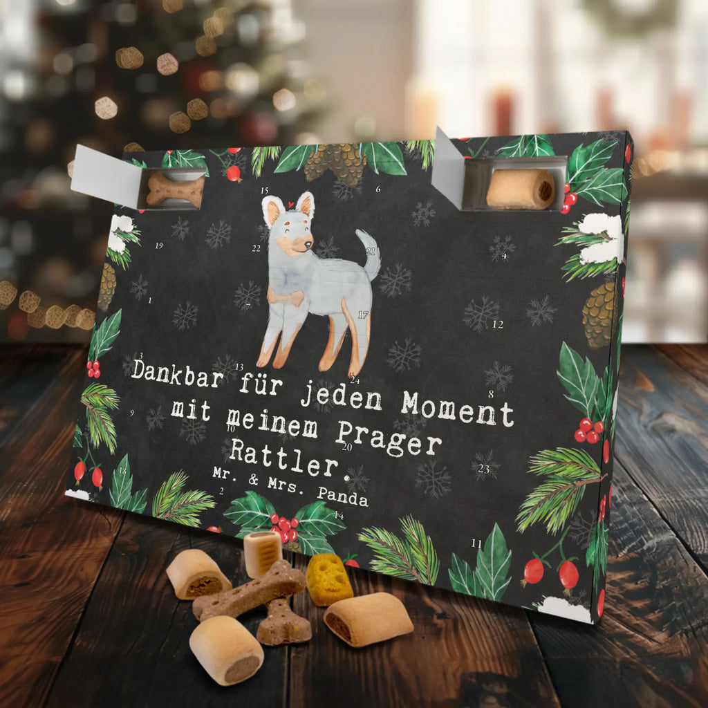 Dog advent calendar Prague Rattler moment Pets, Calendar, Christmas Calendar, Dogs Advent Calendar, Christmas, 2019, Dog, dog breed, purebred dog, dog owner, gift, animal lover, giving, puppy