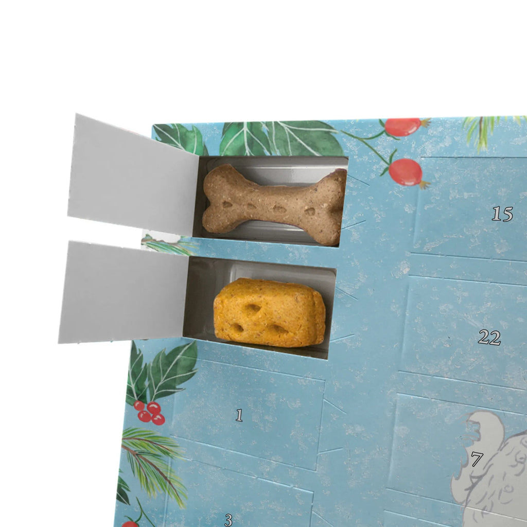 Dog advent calendar Bichon Frise Moment 2019, Christmas Calendar, Calendar, Dogs Advent Calendar, Pets, Christmas, Dog, dog breed, purebred dog, dog owner, gift, animal lover, giving, puppy