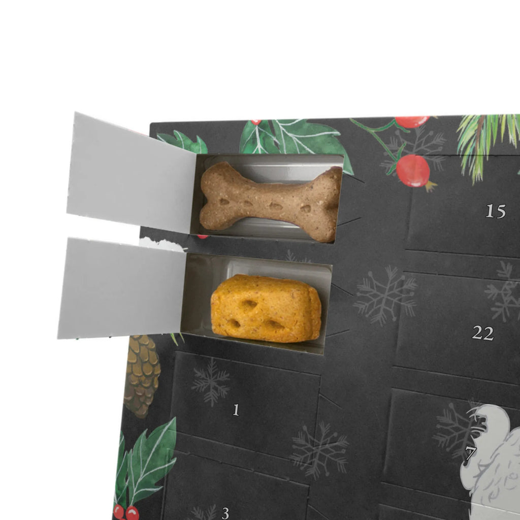 Dog advent calendar Bichon Frise Moment 2019, Christmas Calendar, Calendar, Dogs Advent Calendar, Pets, Christmas, Dog, dog breed, purebred dog, dog owner, gift, animal lover, giving, puppy