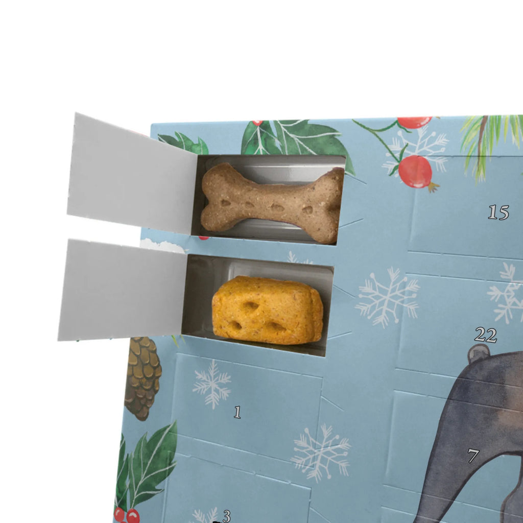 Dog advent calendar Boston Terrier Moment 2019, Christmas Calendar, Calendar, Christmas, Dogs Advent Calendar, Pets, Dog, dog breed, purebred dog, dog owner, gift, animal lover, giving, puppy