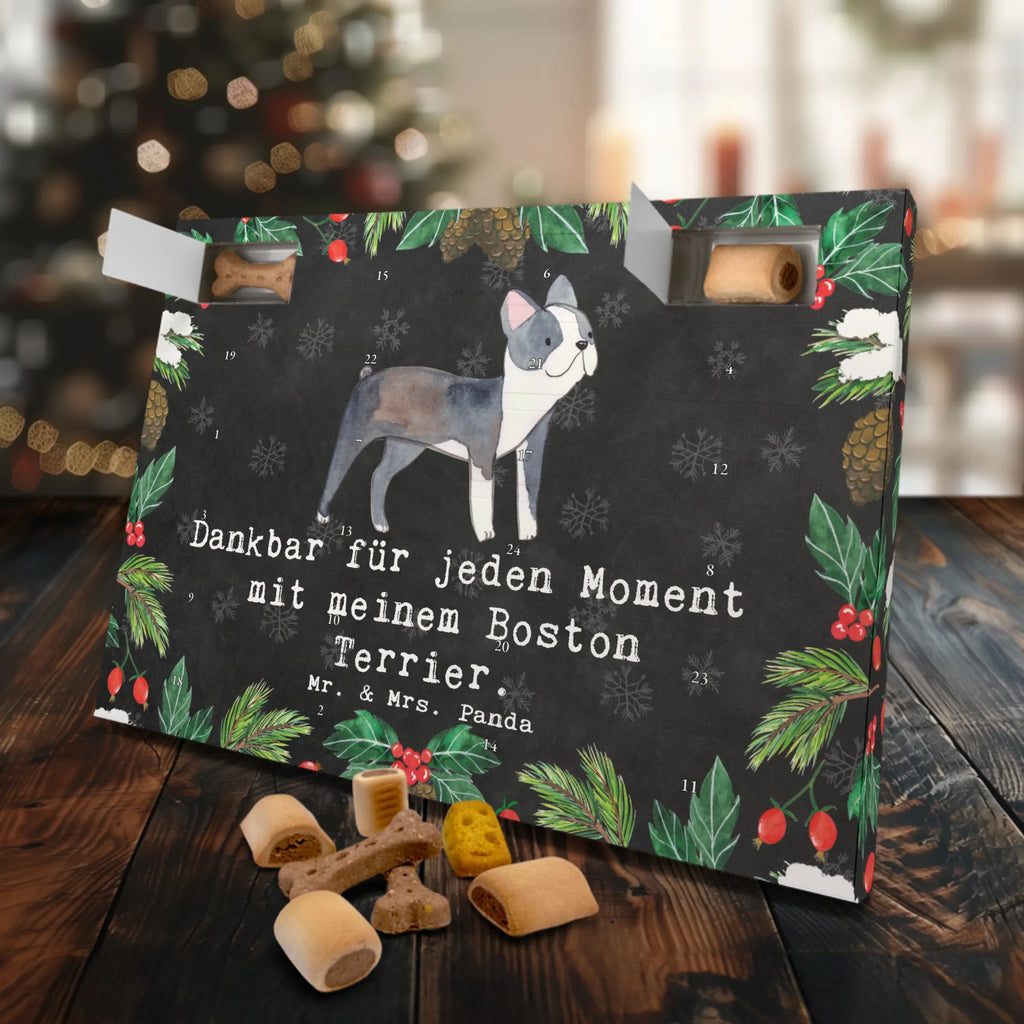 Dog advent calendar Boston Terrier Moment 2019, Christmas Calendar, Calendar, Christmas, Dogs Advent Calendar, Pets, Dog, dog breed, purebred dog, dog owner, gift, animal lover, giving, puppy