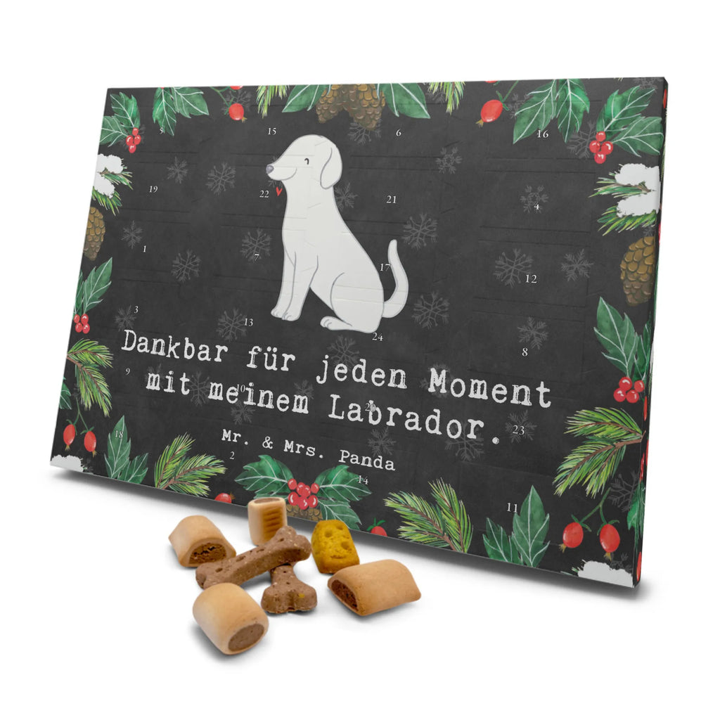 Dog advent calendar Labrador moment Kalender, Hunde Adventskalender, Weihnachtskalender, Adventskalender für Hunde, Geschenk, Schenken, Hund, Hunderasse, Rassehund, Hundebesitzer, Tierfreund, Welpe, Labrador