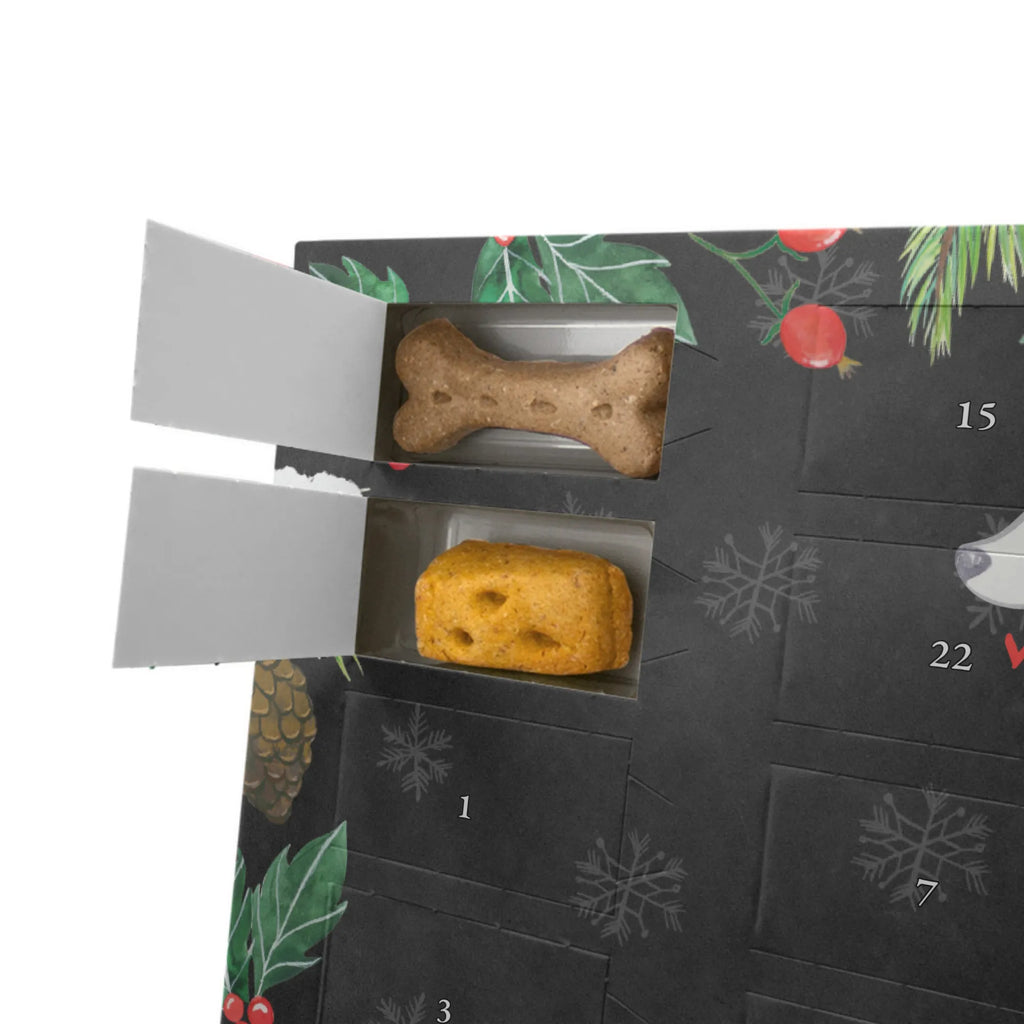 Dog advent calendar Labrador moment Kalender, Hunde Adventskalender, Weihnachtskalender, Adventskalender für Hunde, Geschenk, Schenken, Hund, Hunderasse, Rassehund, Hundebesitzer, Tierfreund, Welpe, Labrador