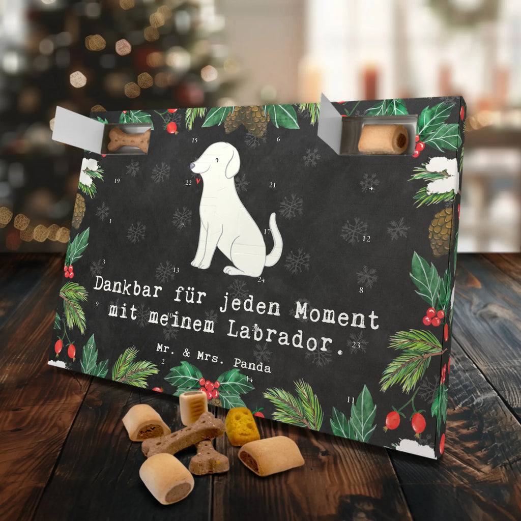 Dog advent calendar Labrador moment Kalender, Hunde Adventskalender, Weihnachtskalender, Adventskalender für Hunde, Geschenk, Schenken, Hund, Hunderasse, Rassehund, Hundebesitzer, Tierfreund, Welpe, Labrador
