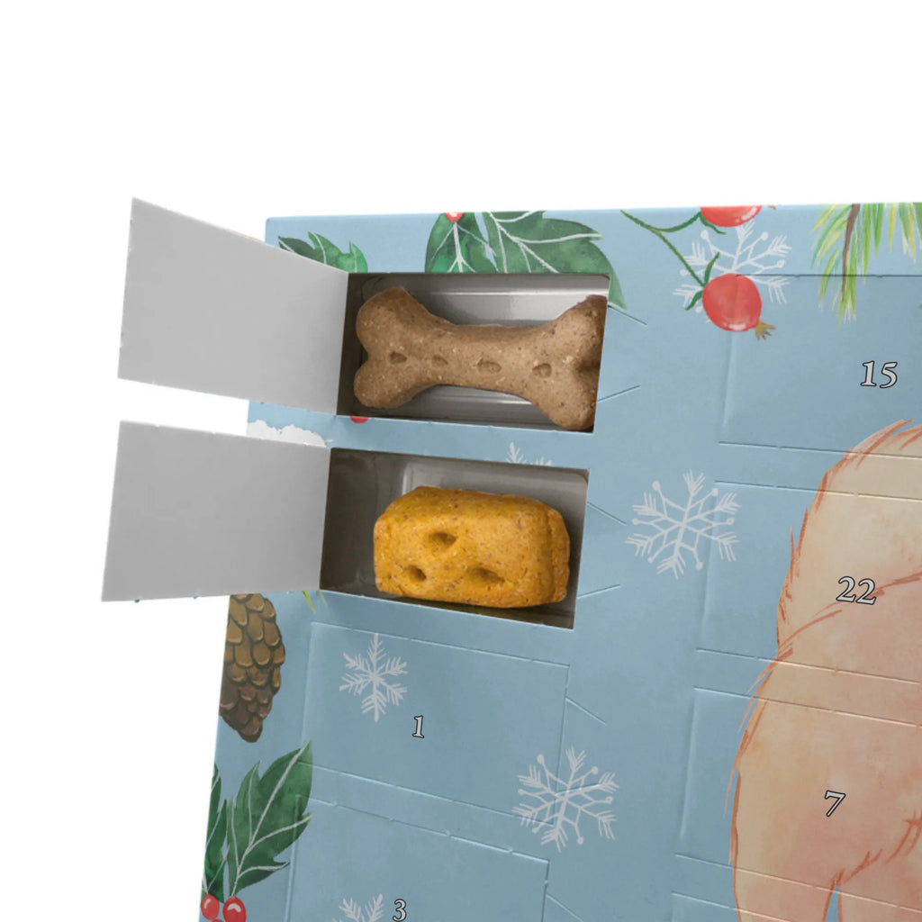  Chow-Chow Chwila Hunde Adventskalender, Kalender, Adventskalender für Hunde, Weihnachtskalender, Geschenk, Schenken, Hund, Hunderasse, Rassehund, Hundebesitzer, Tierfreund, Welpe, Asiatischer Spitz, Chow-Chow