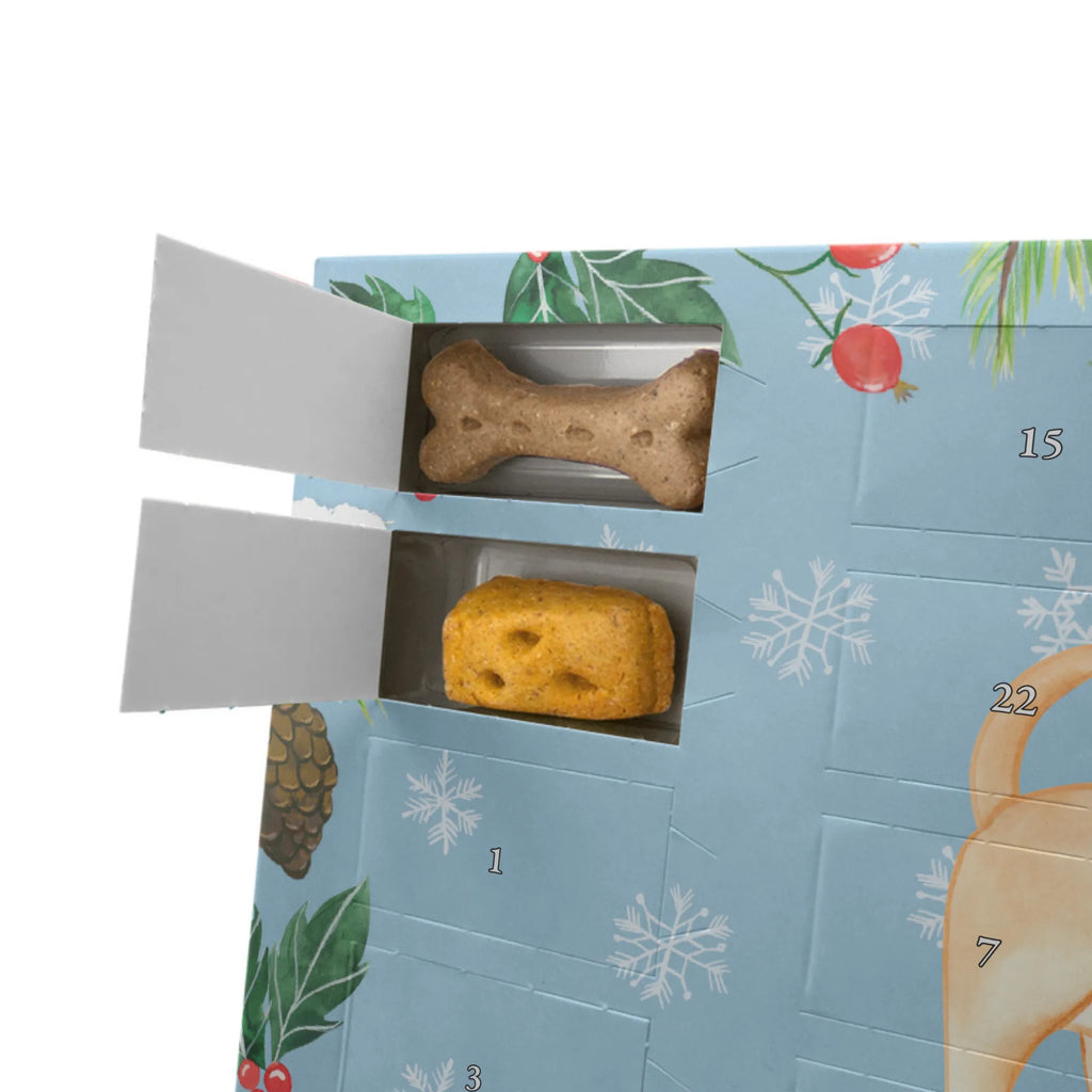 Dog advent calendar Chihuahua moment Kalender, Hunde Adventskalender, Adventskalender für Hunde, Weihnachtskalender, Geschenk, Schenken, Hund, Hunderasse, Rassehund, Hundebesitzer, Tierfreund, Welpe, Chihuahua