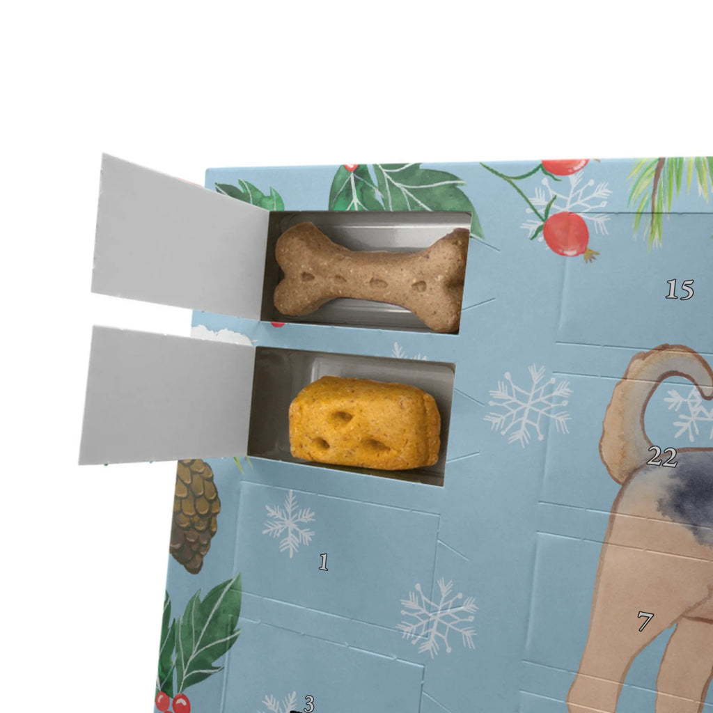Dog advent calendar Airedale Terrier moment Kalender, Weihnachtskalender, Hunde Adventskalender, Adventskalender für Hunde, Tierfreund, Rassehund, Hunderasse, Schenken, Welpe, Hundebesitzer, Hund, Geschenk, Airedale Terrier