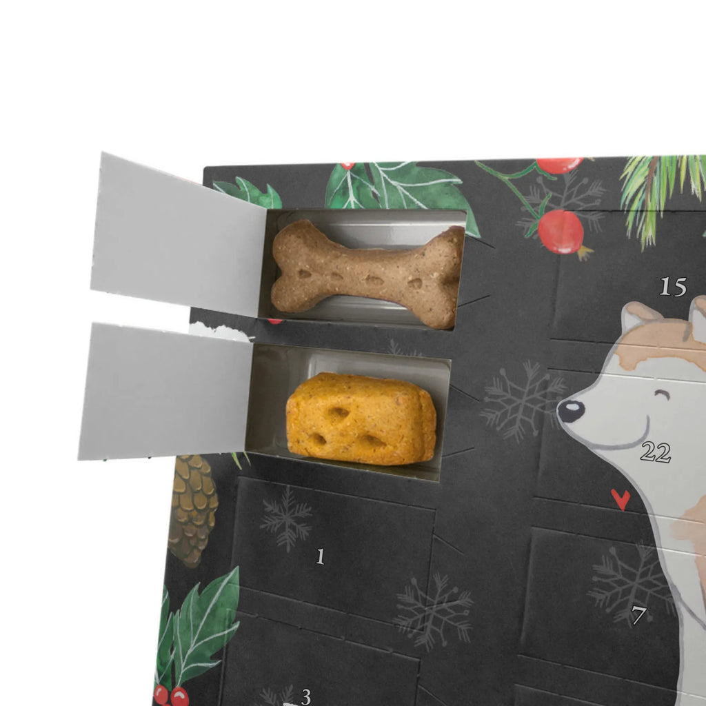 Hunde Adventskalender Akita Inu Moment Adventskalender für Hunde, Kalender, Hunde Adventskalender, Weihnachtskalender, Geschenk, Schenken, Hund, Hunderasse, Rassehund, Hundebesitzer, Tierfreund, Welpe, Akita Inu, Japanischer Akita, Akita Ken, Akita-Inu