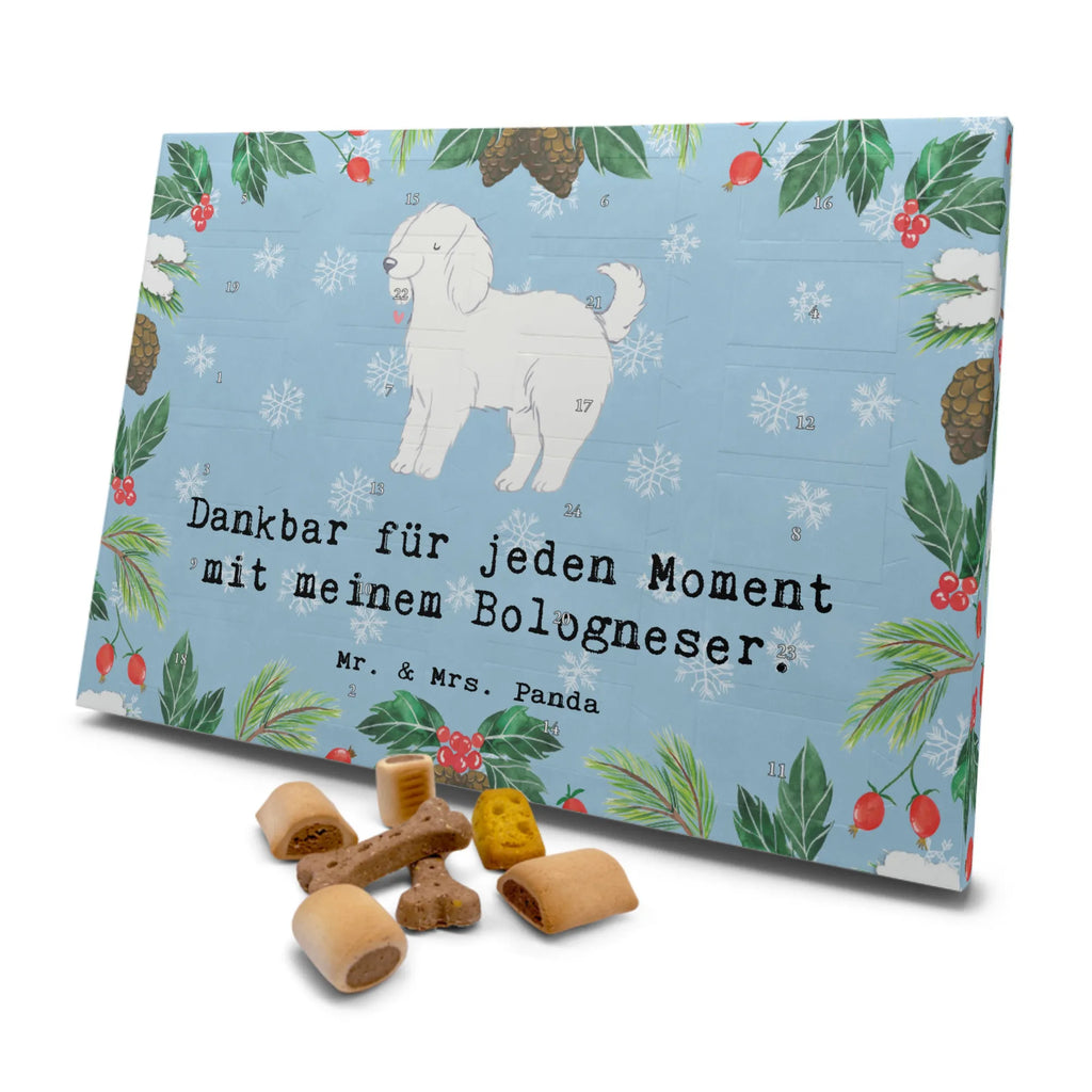  Bolończyk chwila Hunde Adventskalender, Weihnachtskalender, Adventskalender für Hunde, Kalender, Geschenk, Schenken, Hund, Hunderasse, Rassehund, Hundebesitzer, Tierfreund, Welpe, Bologneser