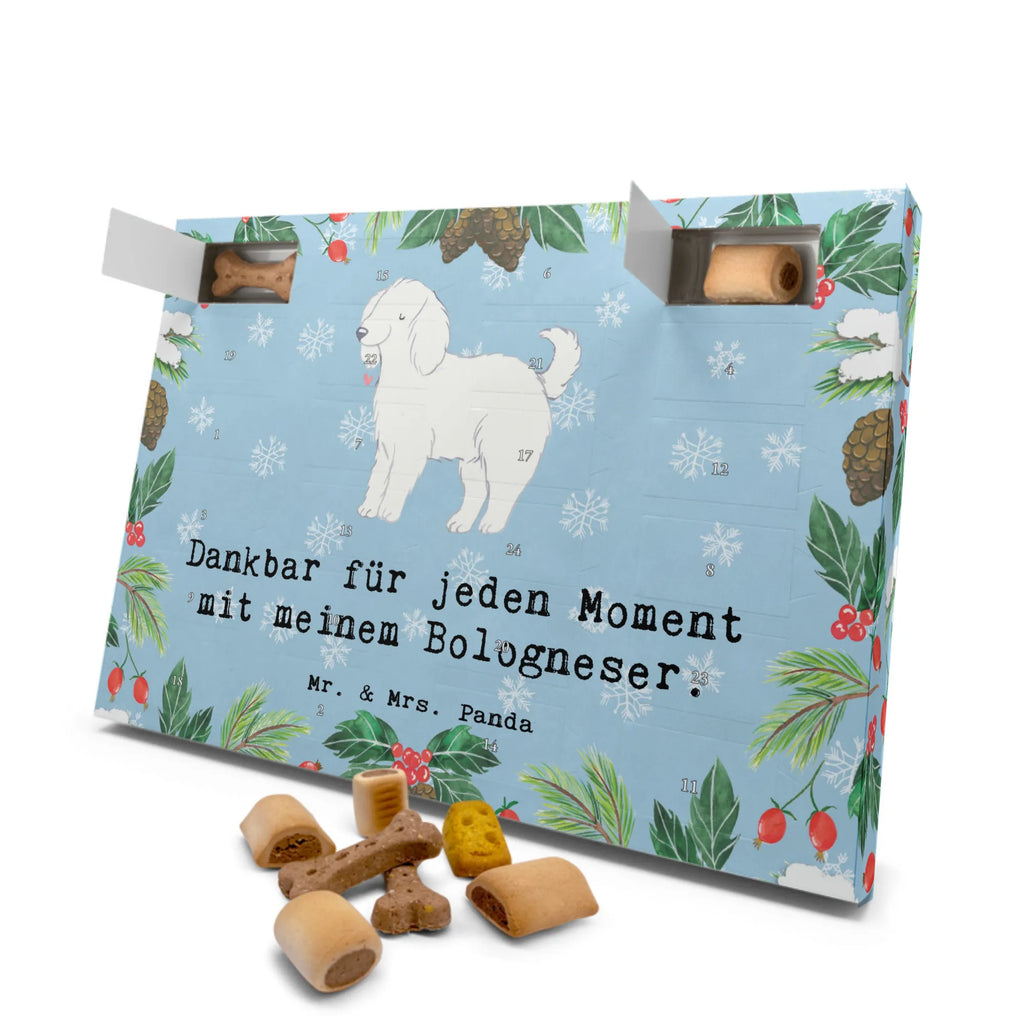  Bolończyk chwila Hunde Adventskalender, Weihnachtskalender, Adventskalender für Hunde, Kalender, Geschenk, Schenken, Hund, Hunderasse, Rassehund, Hundebesitzer, Tierfreund, Welpe, Bologneser