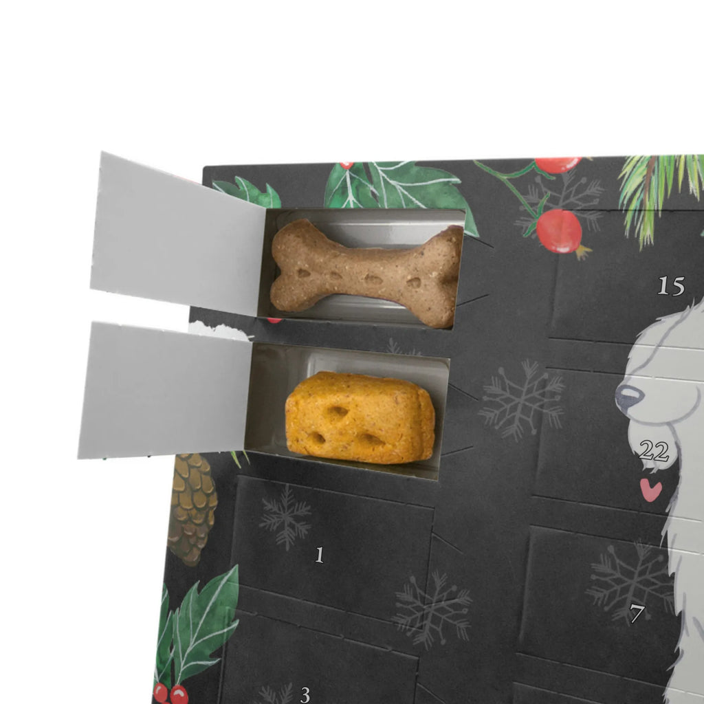  Bolończyk chwila Hunde Adventskalender, Weihnachtskalender, Adventskalender für Hunde, Kalender, Geschenk, Schenken, Hund, Hunderasse, Rassehund, Hundebesitzer, Tierfreund, Welpe, Bologneser