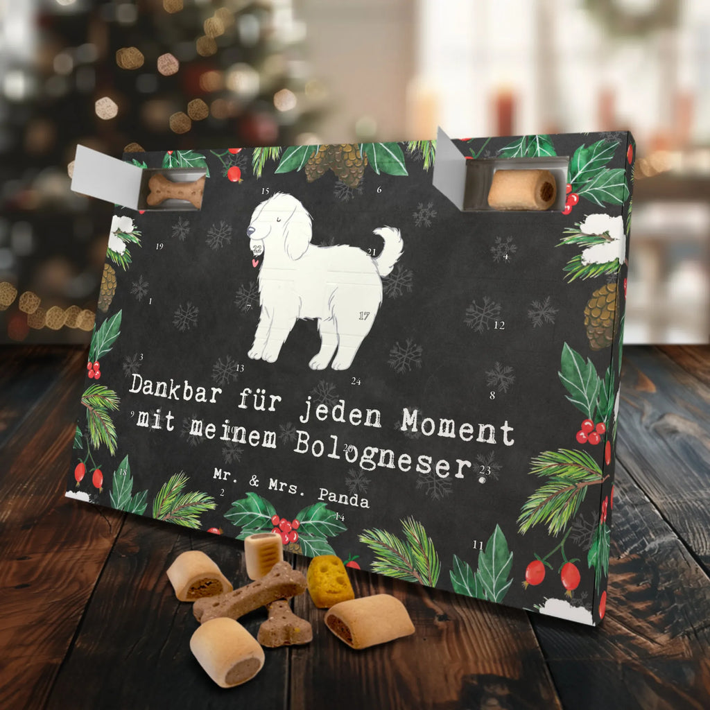  Bolończyk chwila Hunde Adventskalender, Weihnachtskalender, Adventskalender für Hunde, Kalender, Geschenk, Schenken, Hund, Hunderasse, Rassehund, Hundebesitzer, Tierfreund, Welpe, Bologneser
