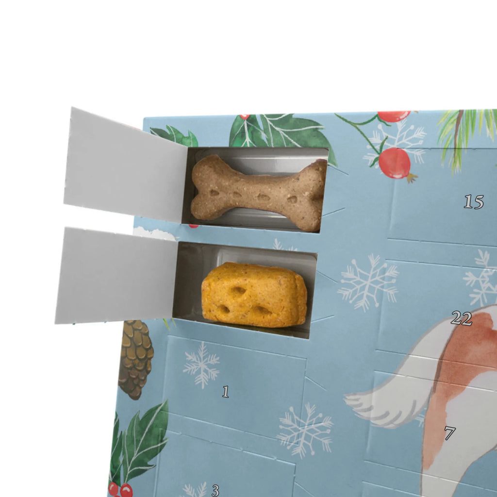 Dog advent calendar Cavalier King Charles Spaniel Moment 2019, Christmas Calendar, Christmas, Dogs Advent Calendar, Calendar, Pets, Dog, dog breed, purebred dog, dog owner, gift, animal lover, giving, puppy