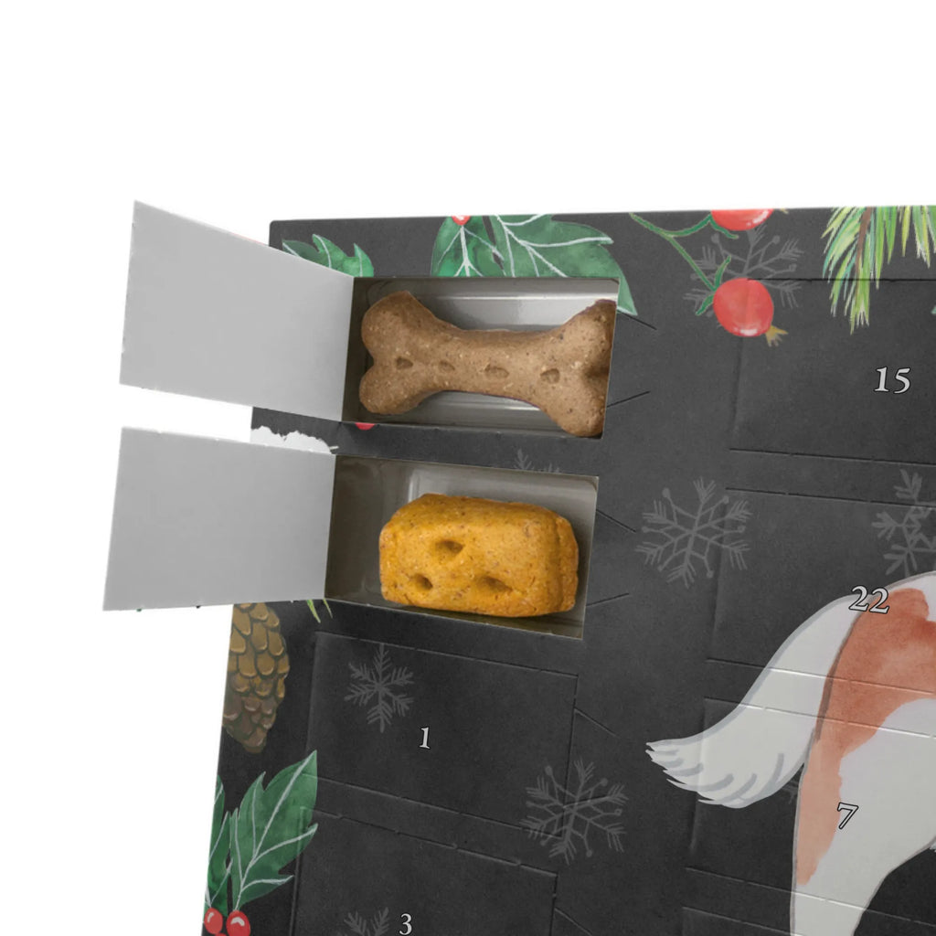 Dog advent calendar Cavalier King Charles Spaniel Moment 2019, Christmas Calendar, Christmas, Dogs Advent Calendar, Calendar, Pets, Dog, dog breed, purebred dog, dog owner, gift, animal lover, giving, puppy