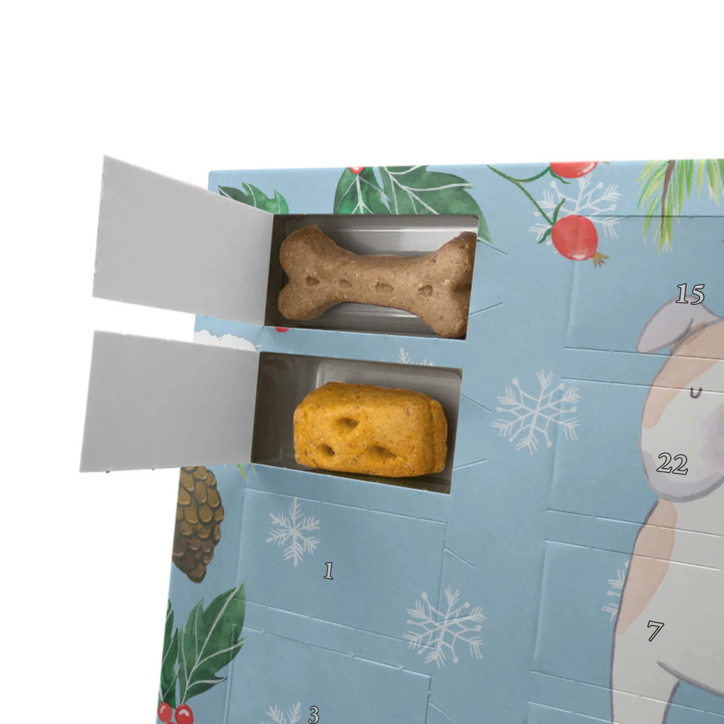 Dog advent calendar English Bulldog Moment Weihnachtskalender, Hunde Adventskalender, Adventskalender für Hunde, Kalender, Geschenk, Schenken, Hund, Hunderasse, Rassehund, Hundebesitzer, Tierfreund, Welpe, Englische Bulldogge