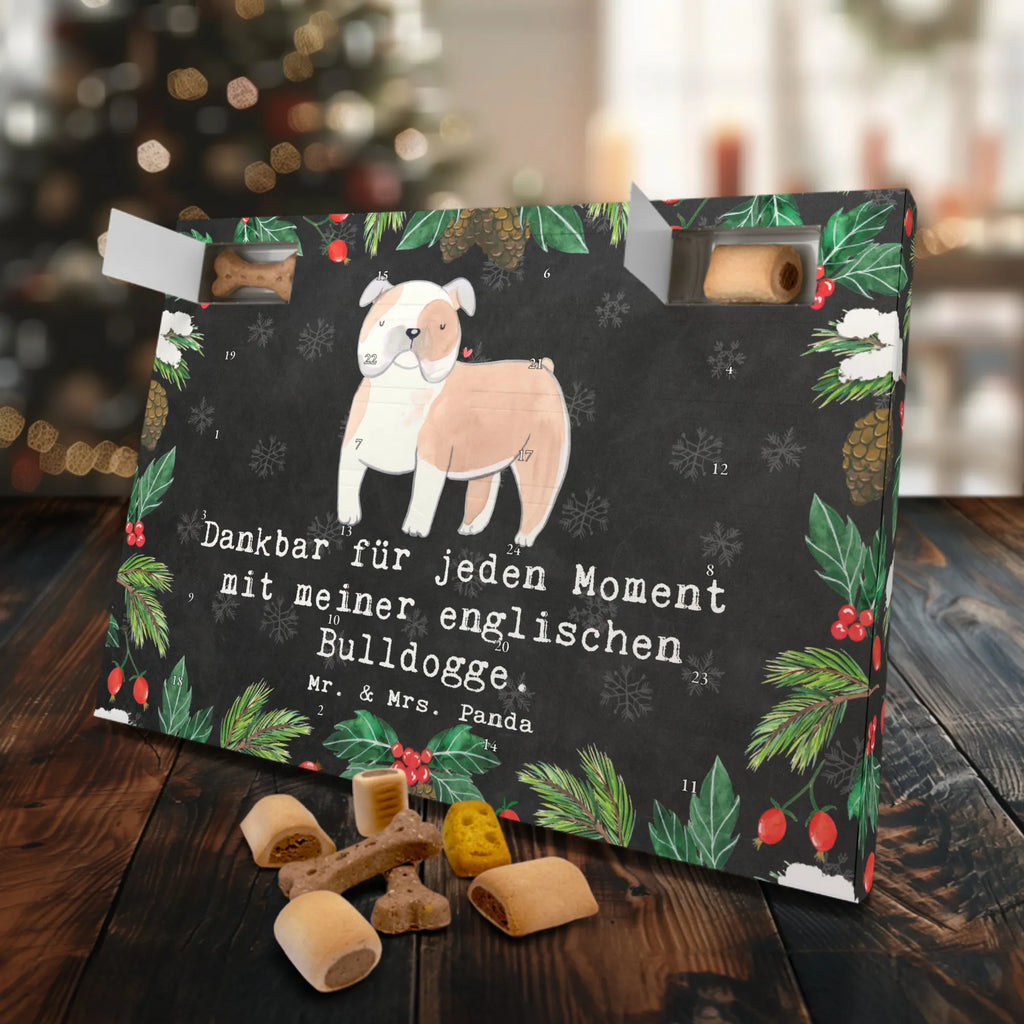 Dog advent calendar English Bulldog Moment Weihnachtskalender, Hunde Adventskalender, Adventskalender für Hunde, Kalender, Geschenk, Schenken, Hund, Hunderasse, Rassehund, Hundebesitzer, Tierfreund, Welpe, Englische Bulldogge