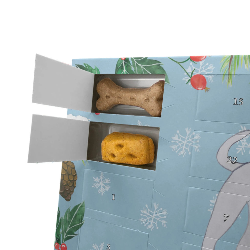 Dog advent calendar Italian Greyhound Moment Christmas, Pets, Christmas Calendar, Calendar, 2019, Dogs Advent Calendar, Dog, dog breed, purebred dog, dog owner, gift, animal lover, giving, puppy