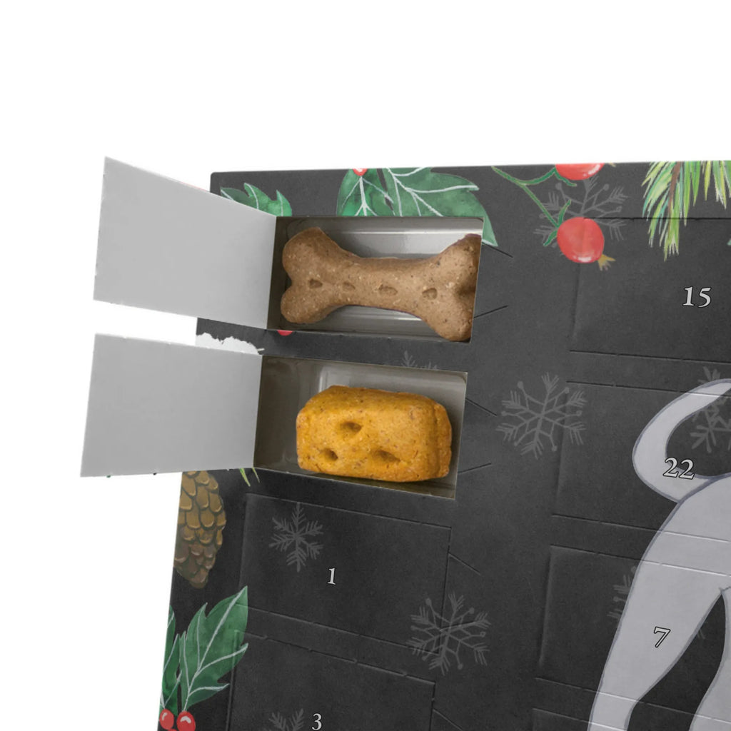 Dog advent calendar Italian Greyhound Moment Christmas, Pets, Christmas Calendar, Calendar, 2019, Dogs Advent Calendar, Dog, dog breed, purebred dog, dog owner, gift, animal lover, giving, puppy