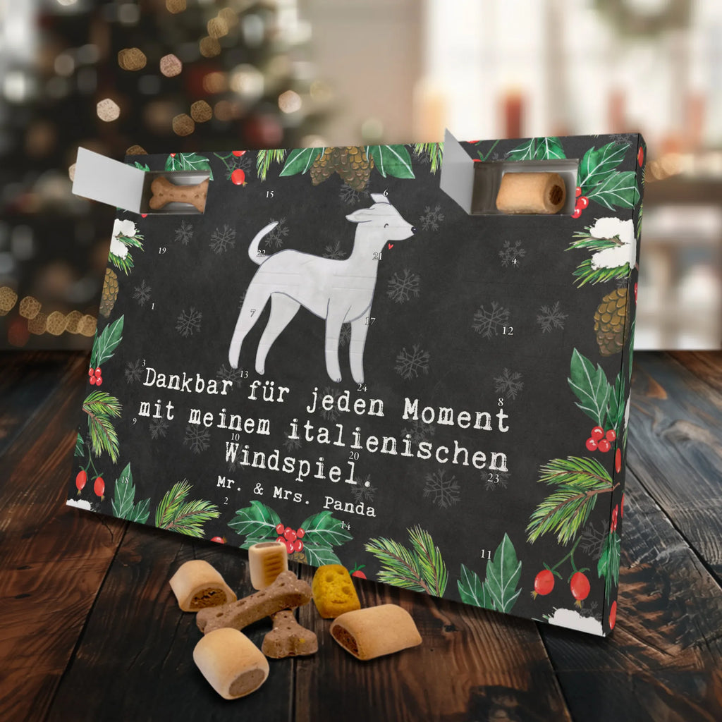 Dog advent calendar Italian Greyhound Moment Christmas, Pets, Christmas Calendar, Calendar, 2019, Dogs Advent Calendar, Dog, dog breed, purebred dog, dog owner, gift, animal lover, giving, puppy