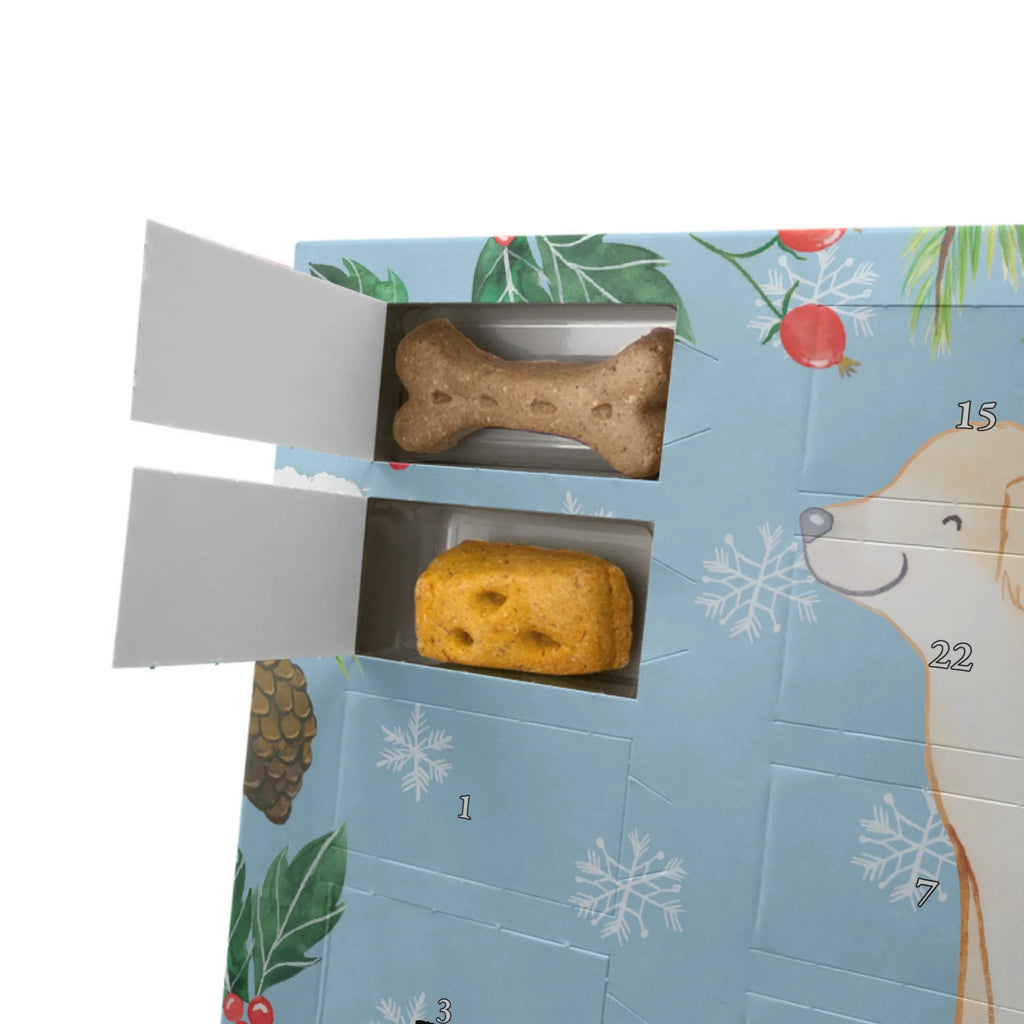 Dog advent calendar Golden Retriever moment Dogs Advent Calendar, Calendar, Christmas, Pets, 2019, Christmas Calendar, Dog, dog breed, purebred dog, dog owner, gift, animal lover, giving, puppy