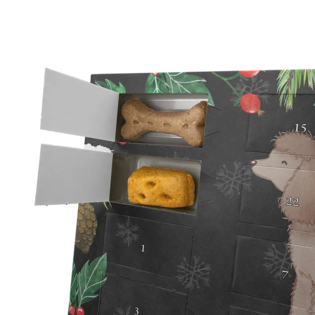 Dog advent calendar Irish Water Spaniel moment Weihnachtskalender, Adventskalender für Hunde, Hunde Adventskalender, Kalender, Geschenk, Schenken, Hund, Hunderasse, Rassehund, Hundebesitzer, Tierfreund, Welpe, Irish Water Spaniel, Jagdhund