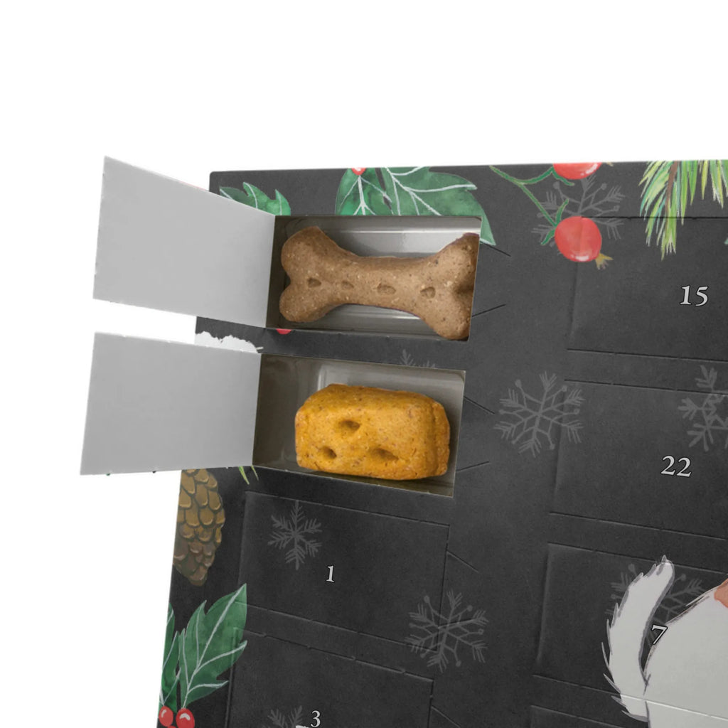 Dog advent calendar Jack Russell Terrier Moment Dogs Advent Calendar, 2019, Christmas, Calendar, Pets, Christmas Calendar, Dog, dog breed, purebred dog, dog owner, gift, animal lover, giving, puppy