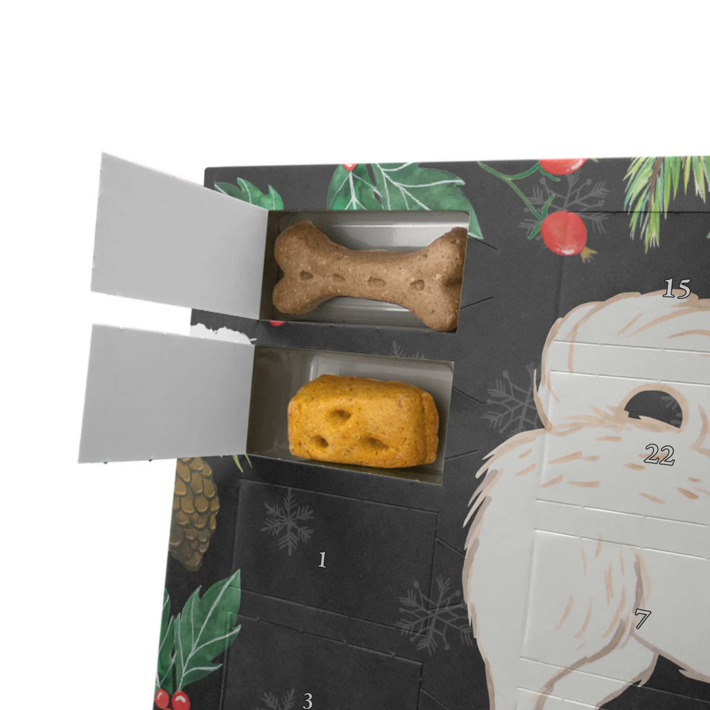 Dog advent calendar Maltipoo Moment 2019, Pets, Christmas, Christmas Calendar, Dogs Advent Calendar, Calendar, Dog, dog breed, purebred dog, dog owner, gift, animal lover, giving, puppy