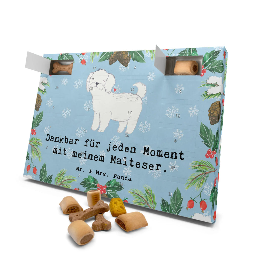 Dog advent calendar Maltese Moment Calendar, Christmas, Pets, Christmas Calendar, Dogs Advent Calendar, 2019, Dog, dog breed, purebred dog, dog owner, gift, animal lover, giving, puppy