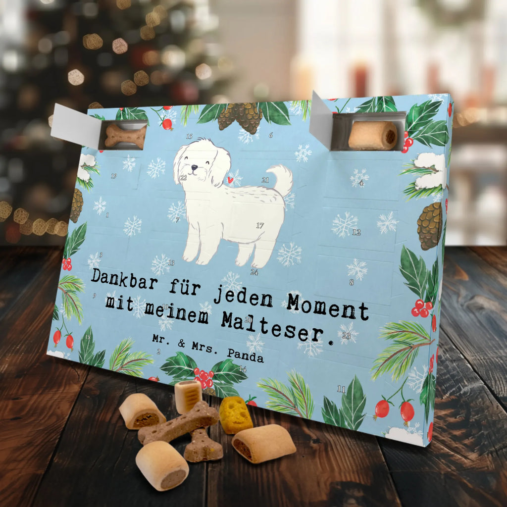 Dog advent calendar Maltese Moment Calendar, Christmas, Pets, Christmas Calendar, Dogs Advent Calendar, 2019, Dog, dog breed, purebred dog, dog owner, gift, animal lover, giving, puppy
